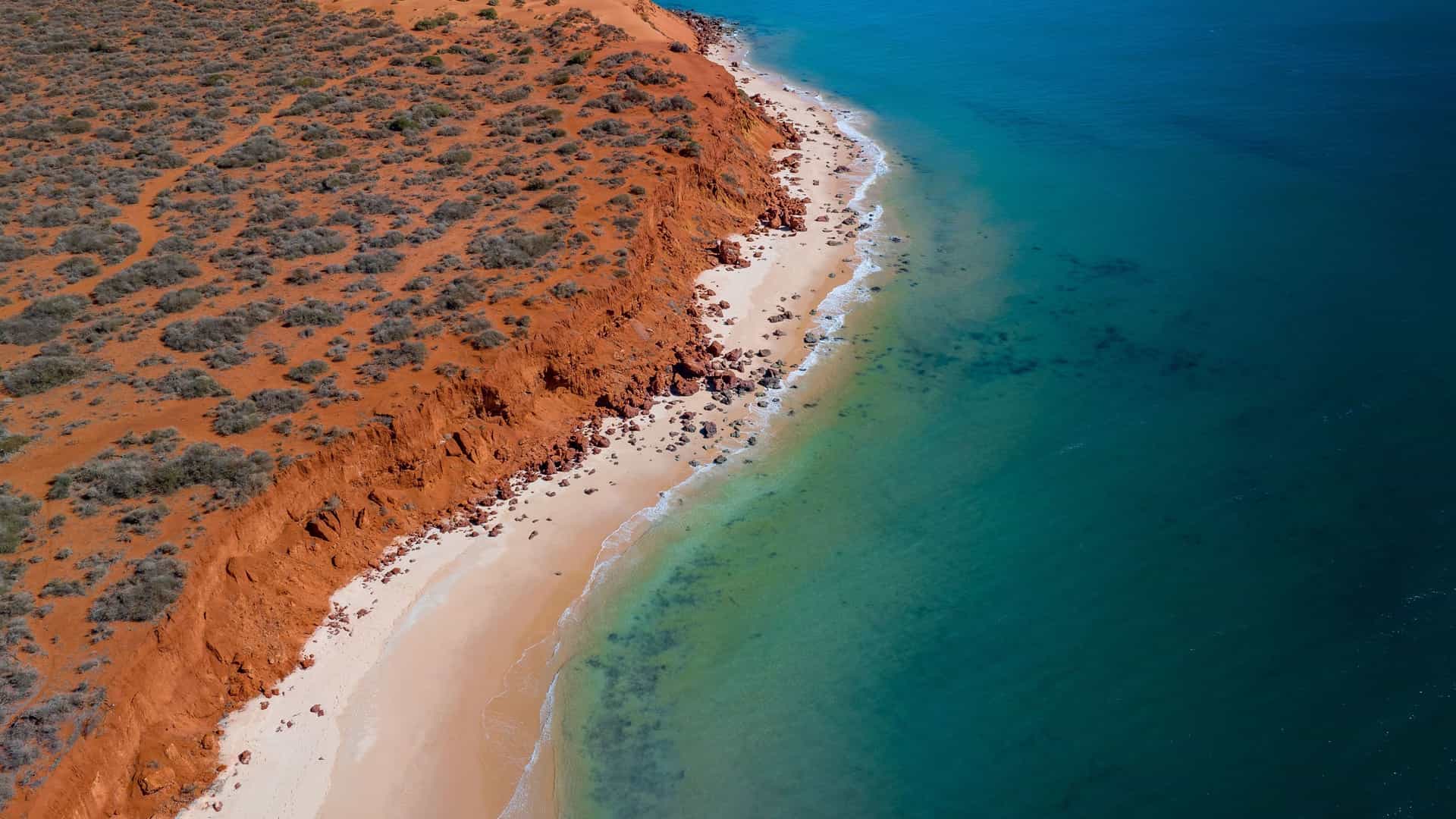 An aerial view of the dramatic coastline of Shark Bay, Western Australia, with red cliffs and a pristine white sandy beach bordering the clear turquoise ocean.
