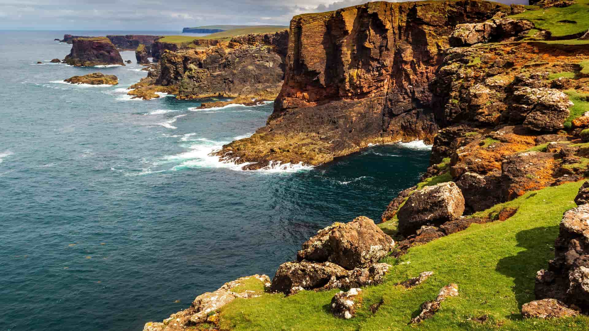 A stunning view of the dramatic, high sea cliffs on the coast of the Shetland Islands, Scotland, with the blue waters of the North Atlantic Ocean below and lush green grass on the cliff tops.