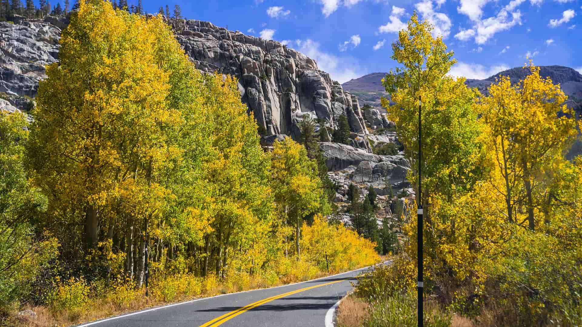 "A picturesque autumn scene on Sonora Pass in California, with a scenic road flanked by vibrant yellow aspen trees and rocky mountains in the Sierra Nevada. "