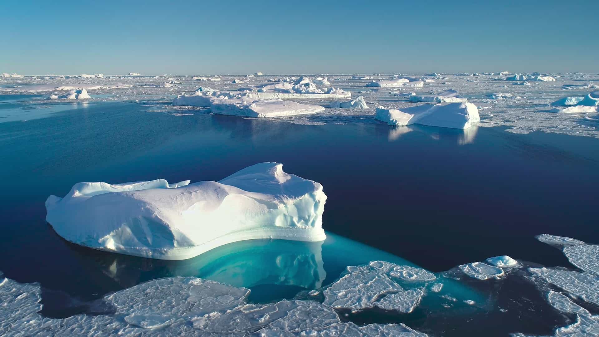 "A vast body of water in South Greenland with a large, uniquely shaped iceberg and smaller ice floes floating on the surface under a clear blue sky. "
