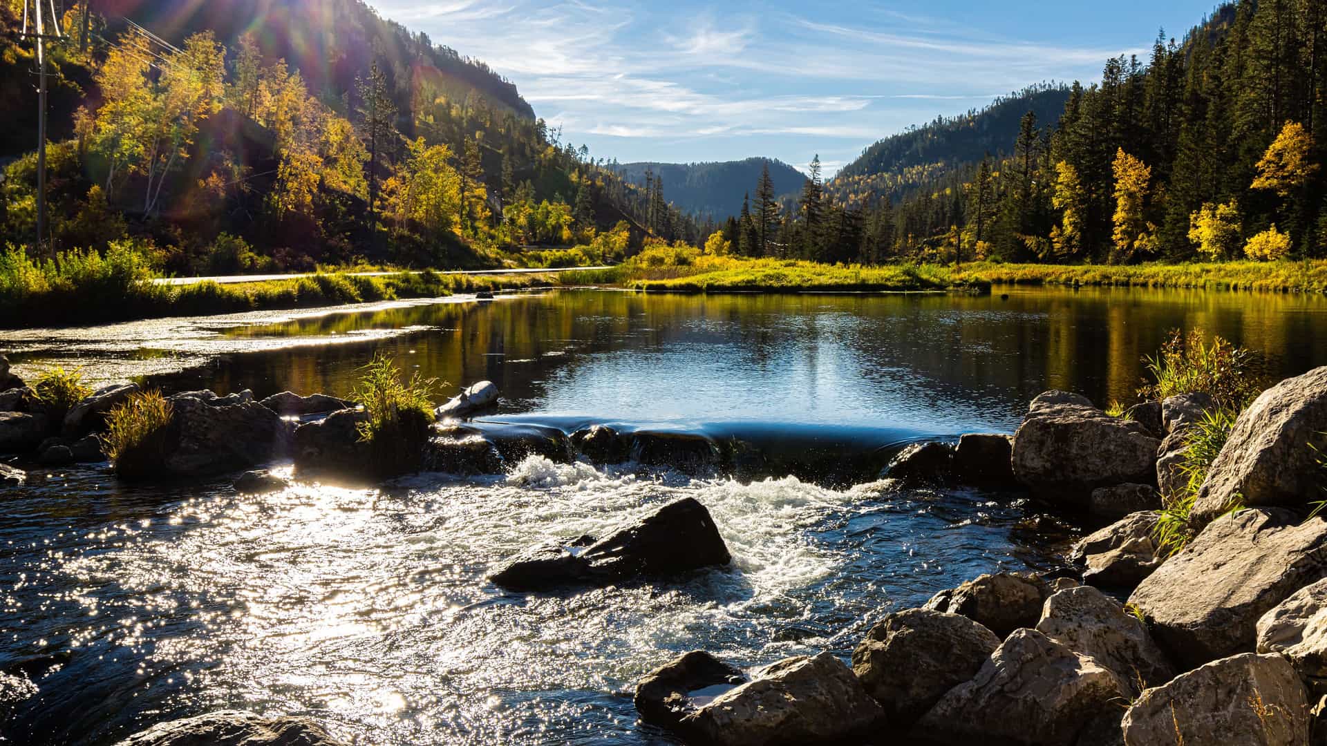 "A picturesque autumn view of Spearfish Creek in Spearfish Canyon, South Dakota, with a gentle river flowing over small rocks, surrounded by a forest of yellow and green trees. "