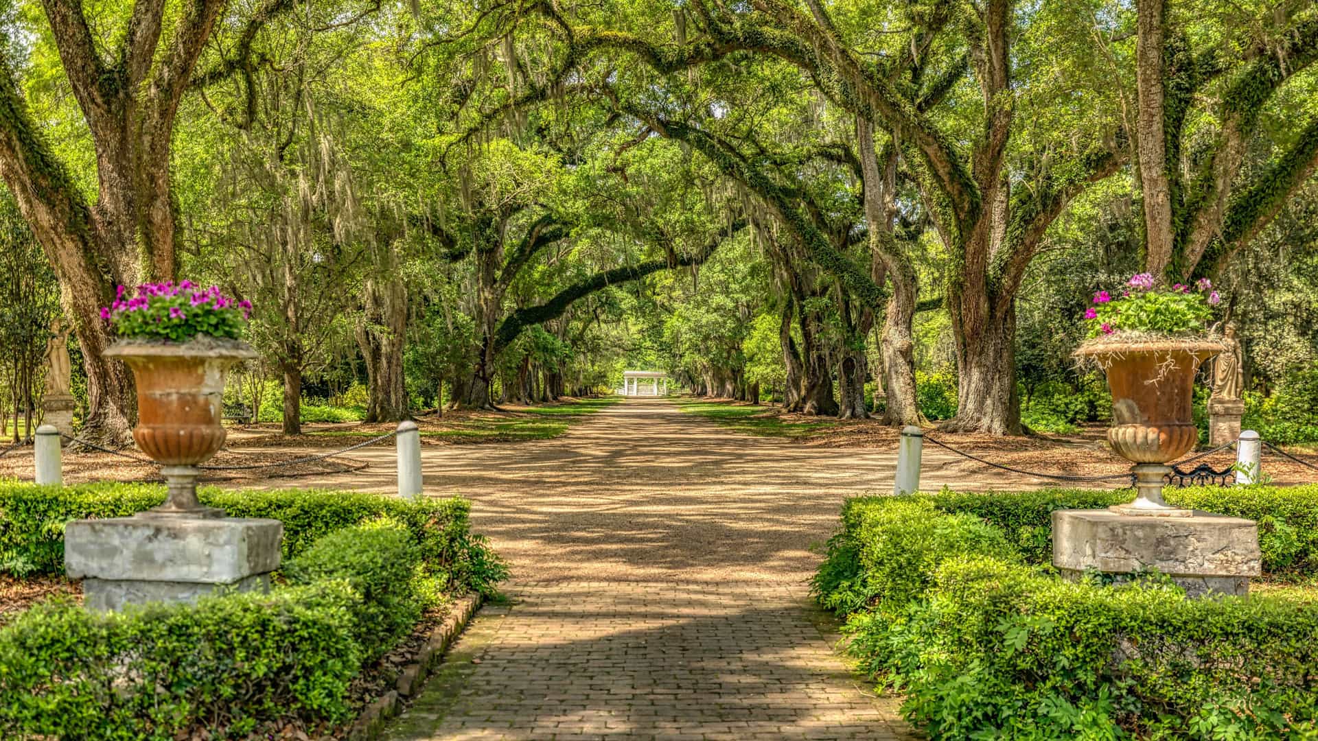 A picturesque view of a long, brick pathway lined with massive oak trees covered in Spanish moss, leading to a historic home in St. Francisville, Louisiana.