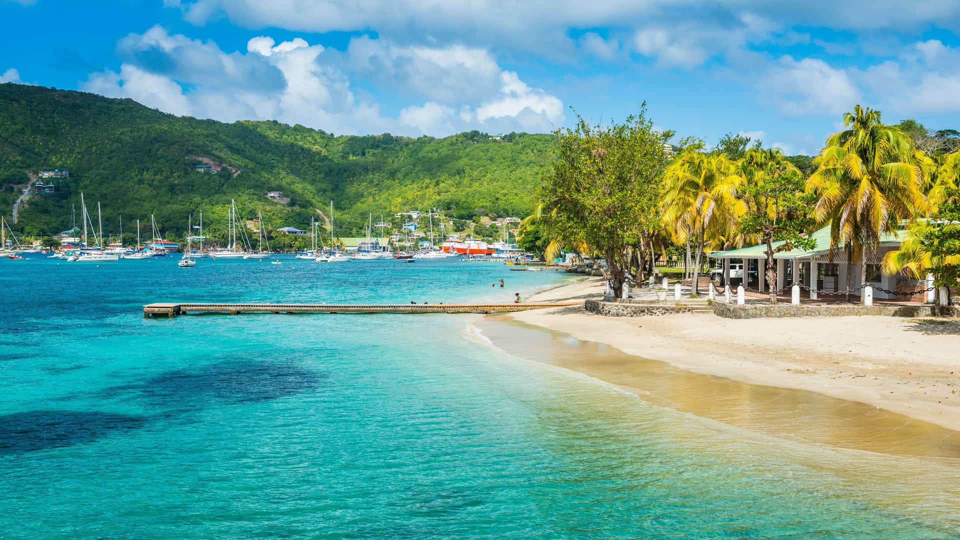 A serene beach view in Saint Vincent and the Grenadines, with a wooden pier extending into the calm, turquoise water, and palm trees lining the white sand shore.