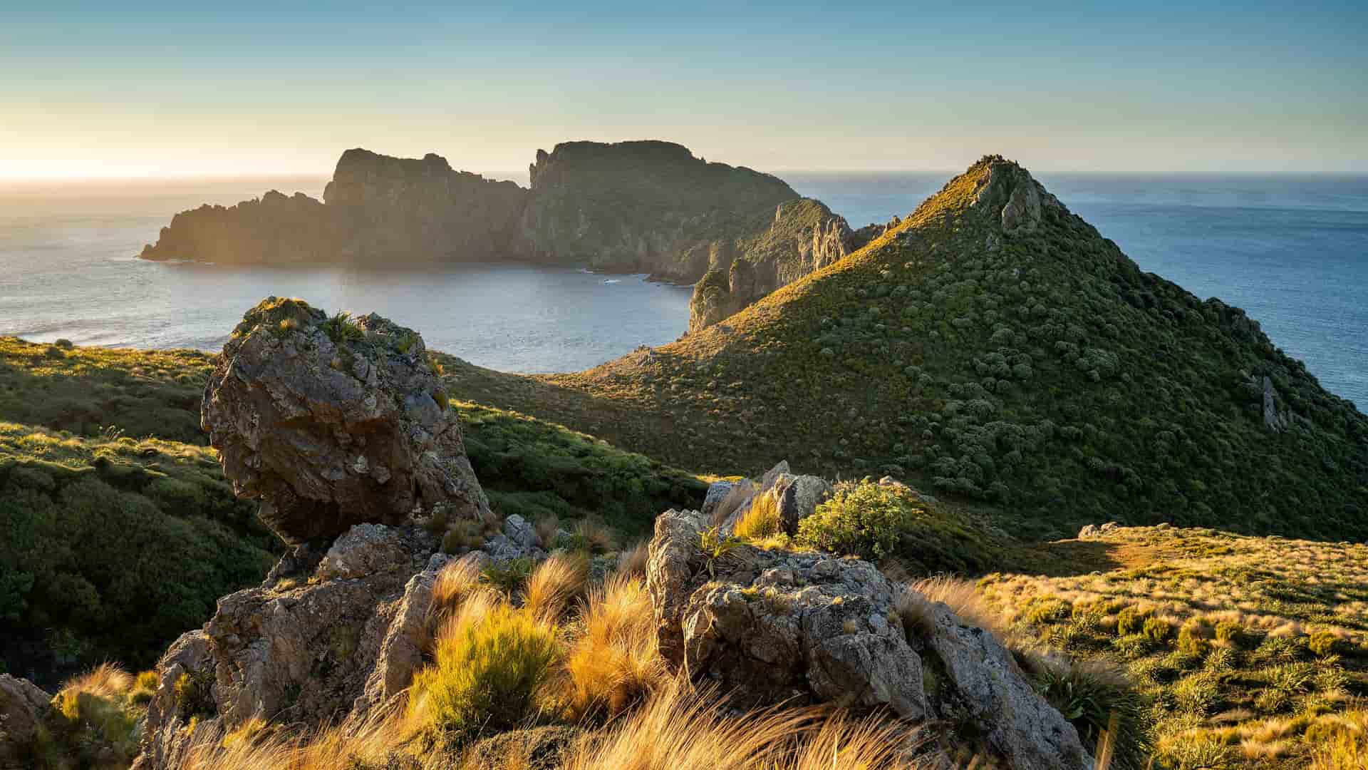 A beautiful sunset view of the rugged, rocky coastline of Stewart Island, New Zealand, with lush green and yellow hills, and the calm sea reflecting the sun's rays.