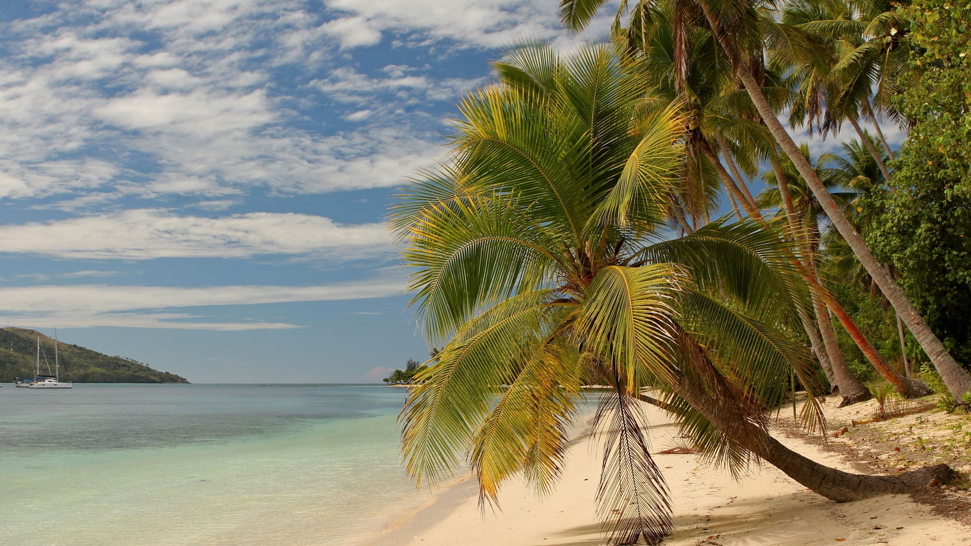 A stunning tropical beach near Suva, Fiji, with a bright white sand beach, clear turquoise water, and a line of palm trees curving over the shore.