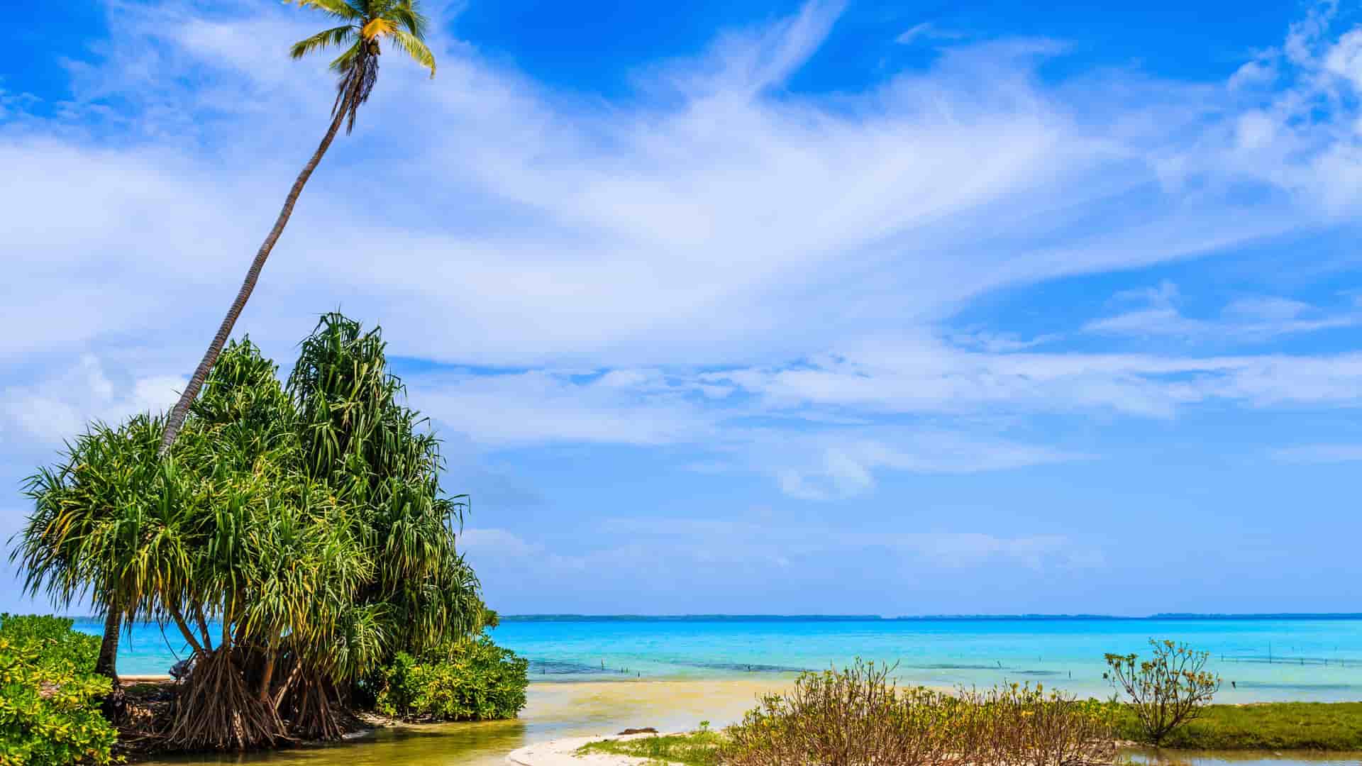 A stunning tropical view of a white-sand beach with a leaning palm tree and lush green foliage on the island of Tabuaeran, Kiribati. The calm, turquoise water is visible under a vibrant blue sky with wispy clouds.