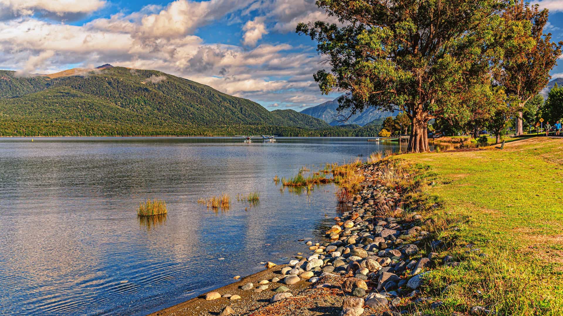 "A serene landscape of Lake Te Anau in New Zealand, with a rocky shoreline and lush green fields leading to a calm body of water, with forested mountains under a cloudy sky in the distance. "