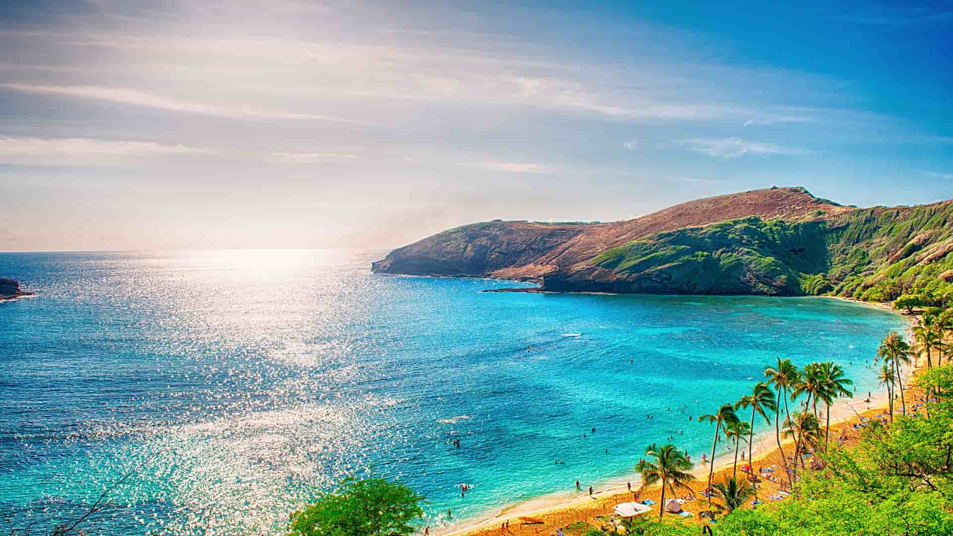 "A scenic view of a beautiful turquoise bay with palm trees on the beach, surrounded by lush green hills, with the sun's reflection sparkling on the calm water of the Hawaiian coast. "