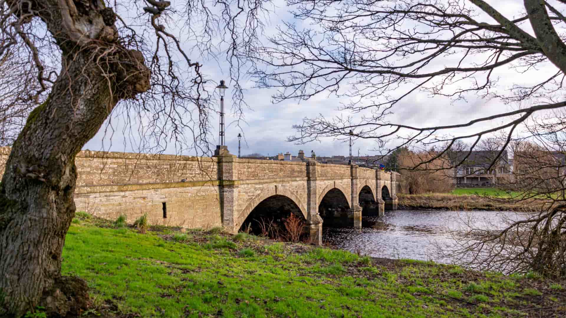 "A wide stone bridge with multiple arches spans the river in Thurso, Scotland, with a grassy bank and a tree with bare branches in the foreground. "