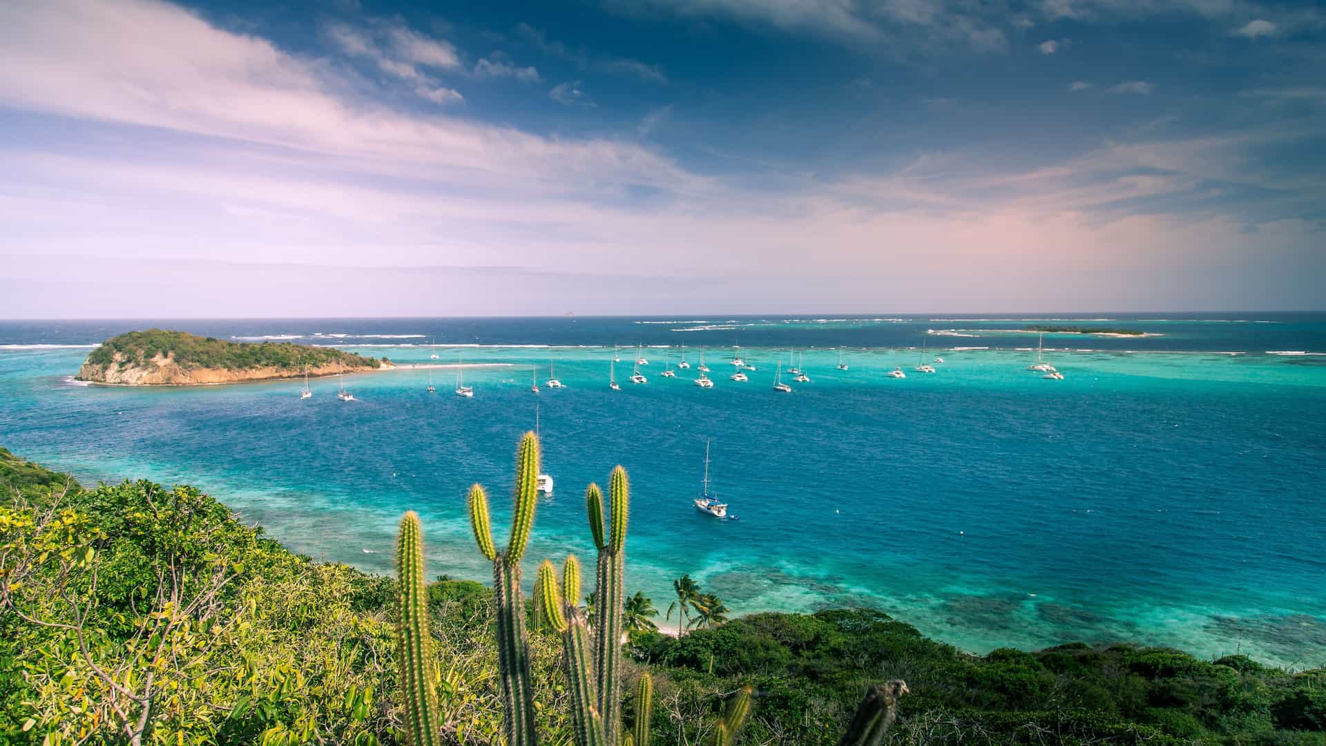 A panoramic view of the turquoise waters and pristine coral reefs of the Tobago Cays Marine Park, with several sailboats anchored in the Grenadines.