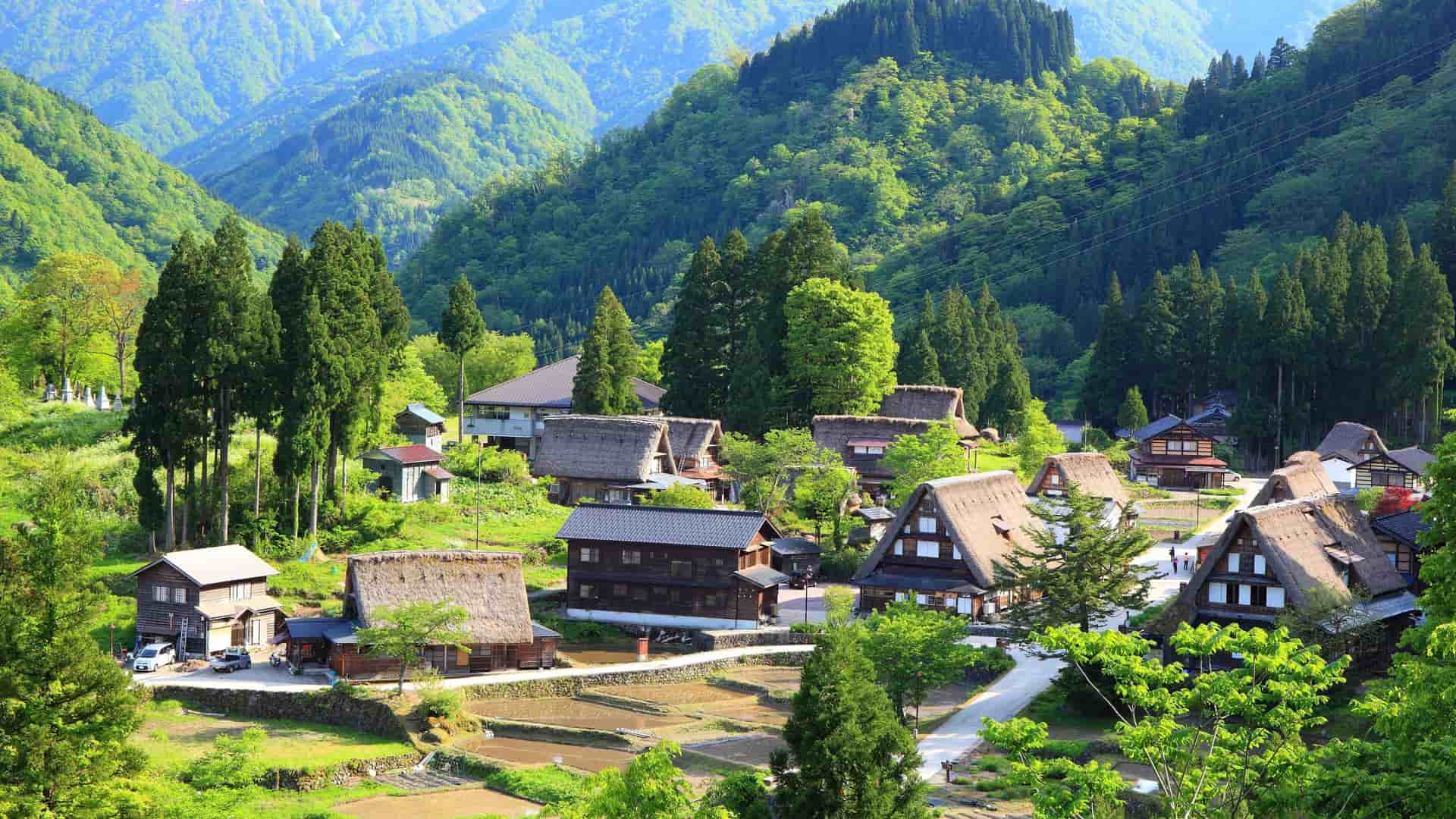 A picturesque view of traditional gassho-zukuri farmhouses with thatched roofs in a village in Toyama, Japan, surrounded by lush green mountains and forests.