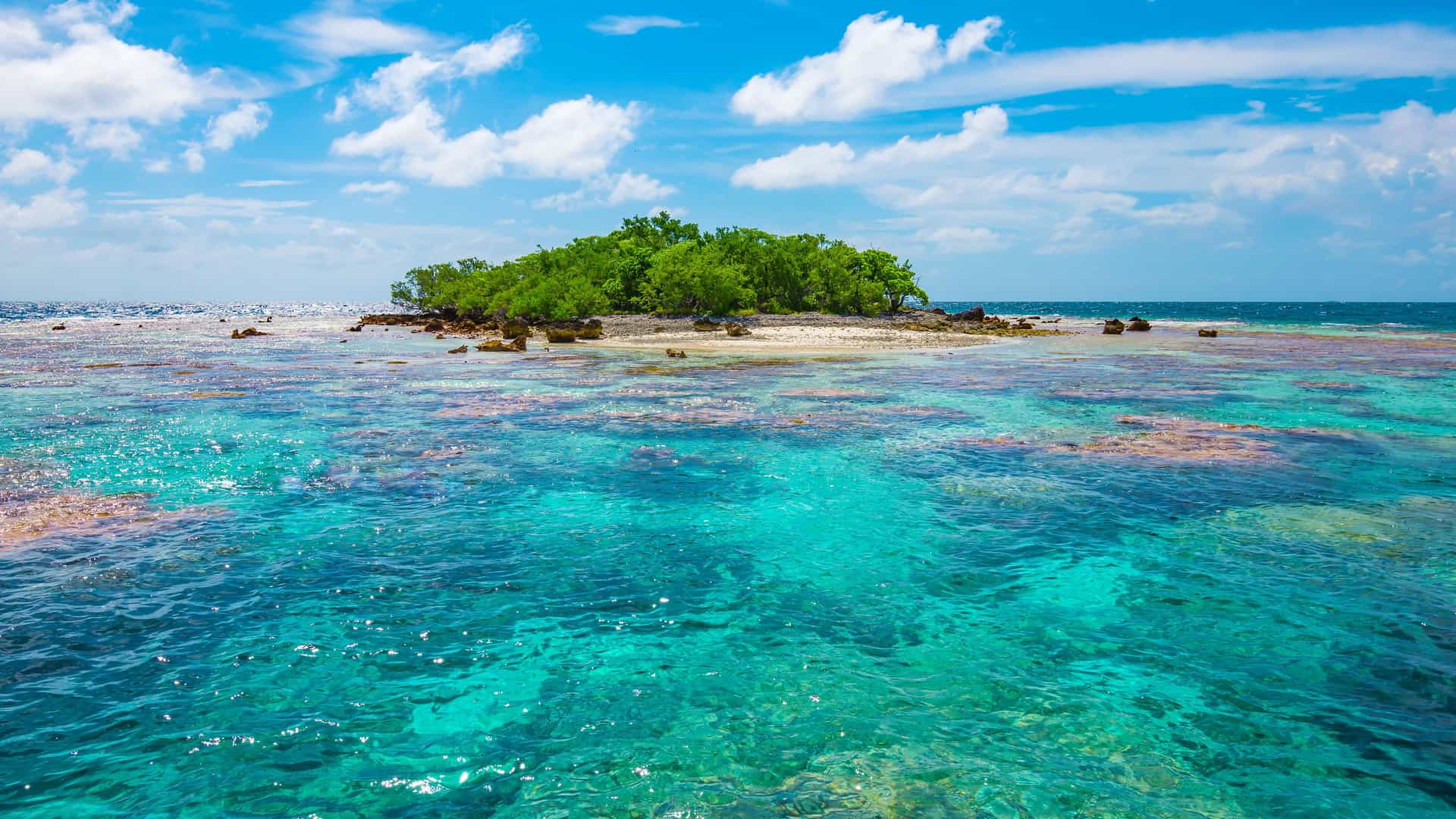 "A stunning aerial shot of a small, lush green motu, or islet, surrounded by a vibrant coral reef in the crystal-clear turquoise waters of the Tuamotu Archipelago, French Polynesia. "
