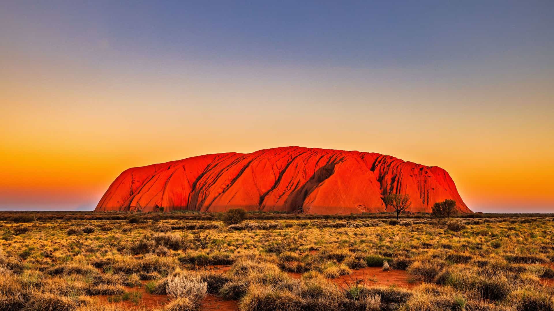 "A panoramic view of the iconic Uluru (Ayers Rock), a large sandstone monolith glowing with a vibrant orange and red hue at sunset, rising from the flat, grassy landscape of the Australian Outback. "