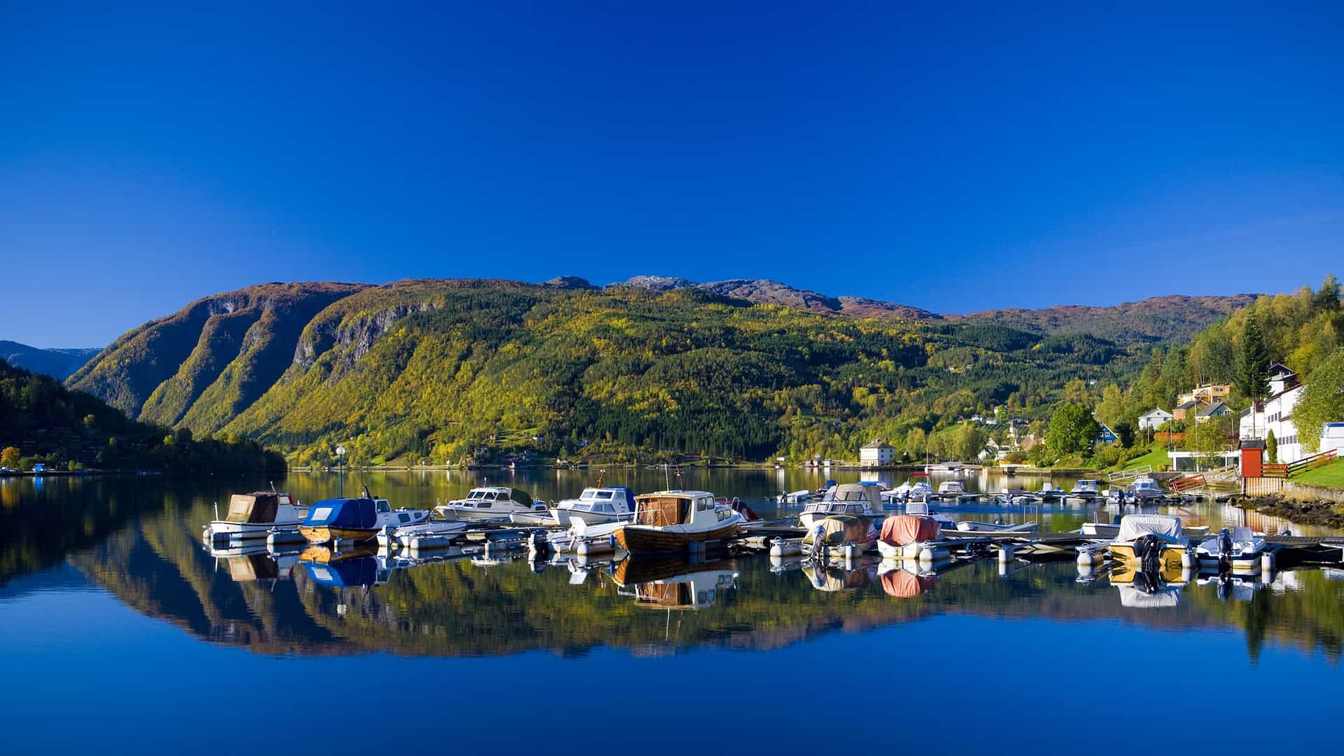 A serene view of boats docked in a marina on the calm waters of the Ulvik Fjord, with a charming town and autumn-colored mountains reflecting in the water under a clear blue sky.