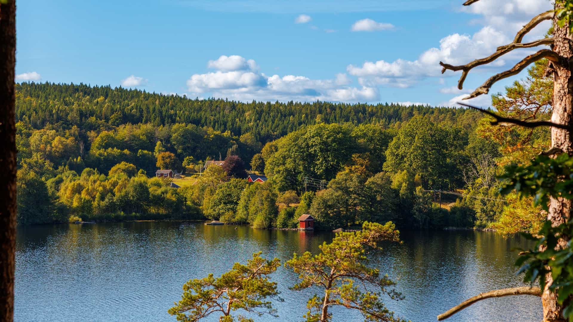 A dark blue lake is framed by thick green forests and trees in the foreground, with a few small buildings nestled on the far shore.