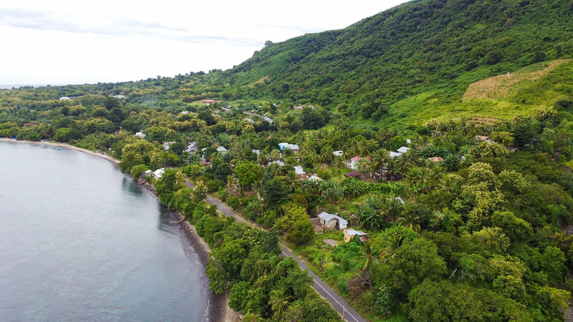 An aerial view of the lush, green coastline of Sumba Island, Indonesia, with a small road and scattered houses winding along the shoreline near Waingapu.