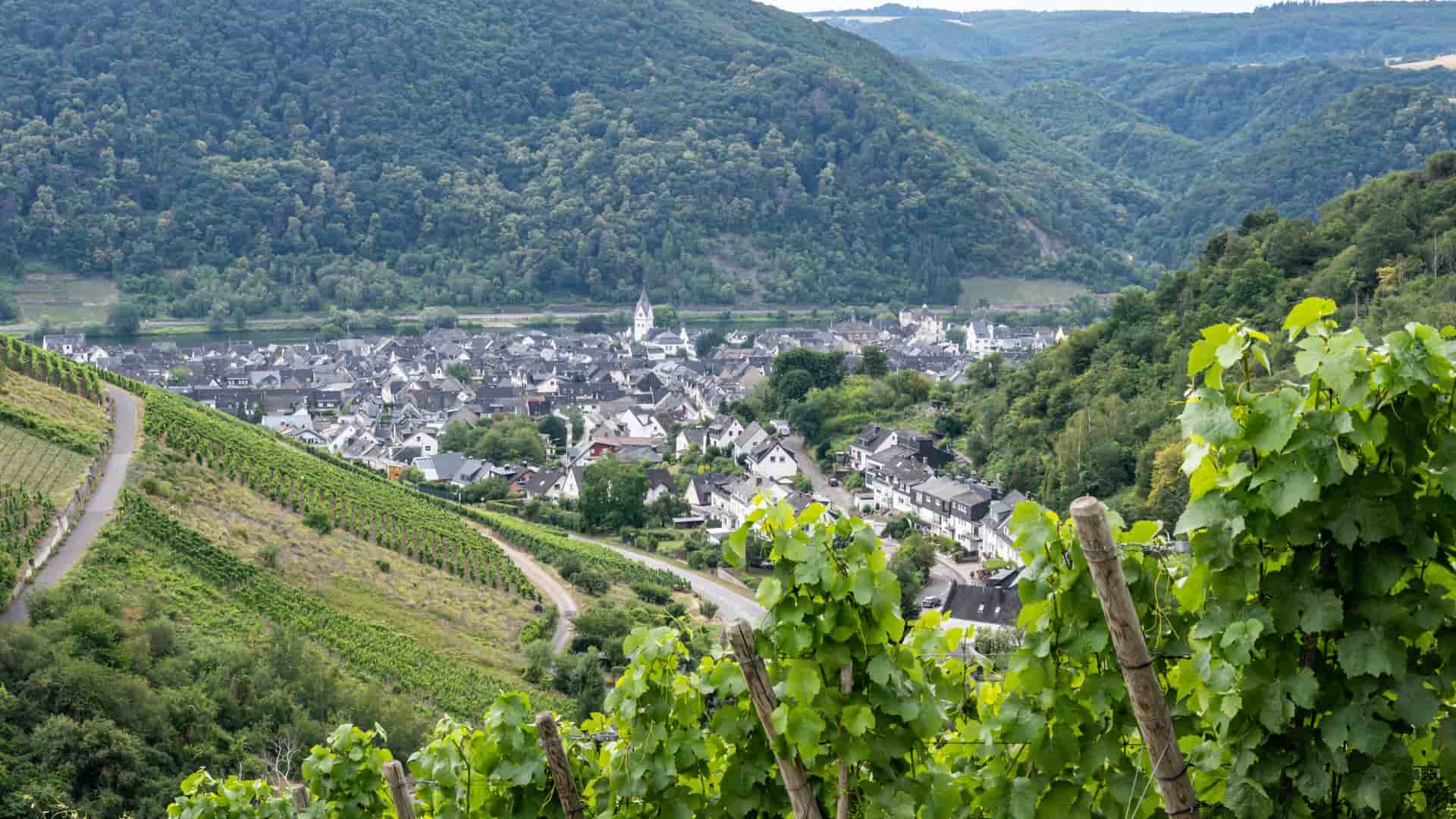 A high-angle view of the scenic German village of Winningen, nestled in a valley with the Moselle River and surrounded by lush, terraced vineyards.