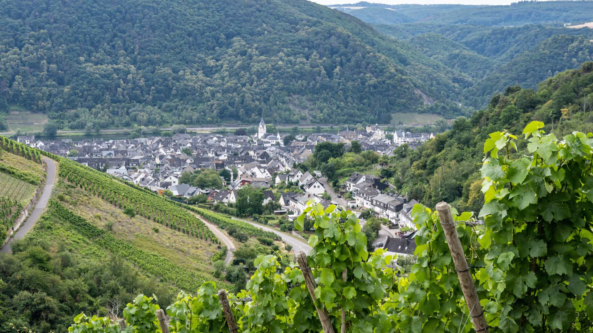 A high-angle view of the scenic German village of Winningen, nestled in a valley with the Moselle River and surrounded by lush, terraced vineyards.