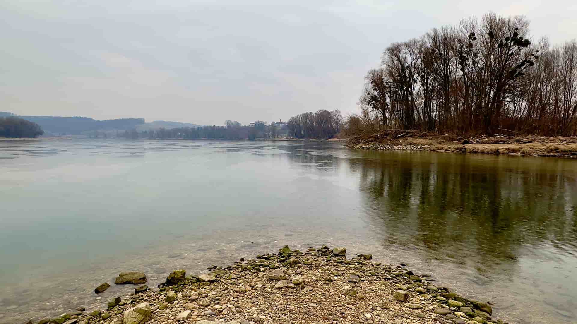 A calm, reflective view of the Danube River in Ybbs an der Donau, Austria, with a stony riverbed in the foreground and a line of bare trees on the far bank under a cloudy sky.