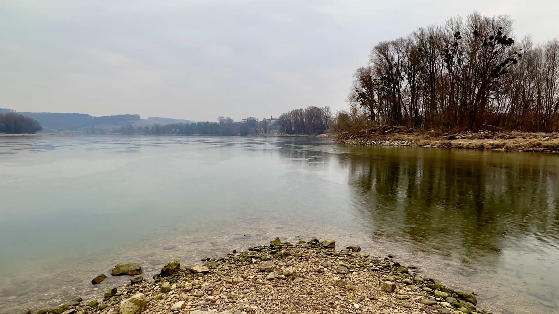 A calm, reflective view of the Danube River in Ybbs an der Donau, Austria, with a stony riverbed in the foreground and a line of bare trees on the far bank under a cloudy sky.