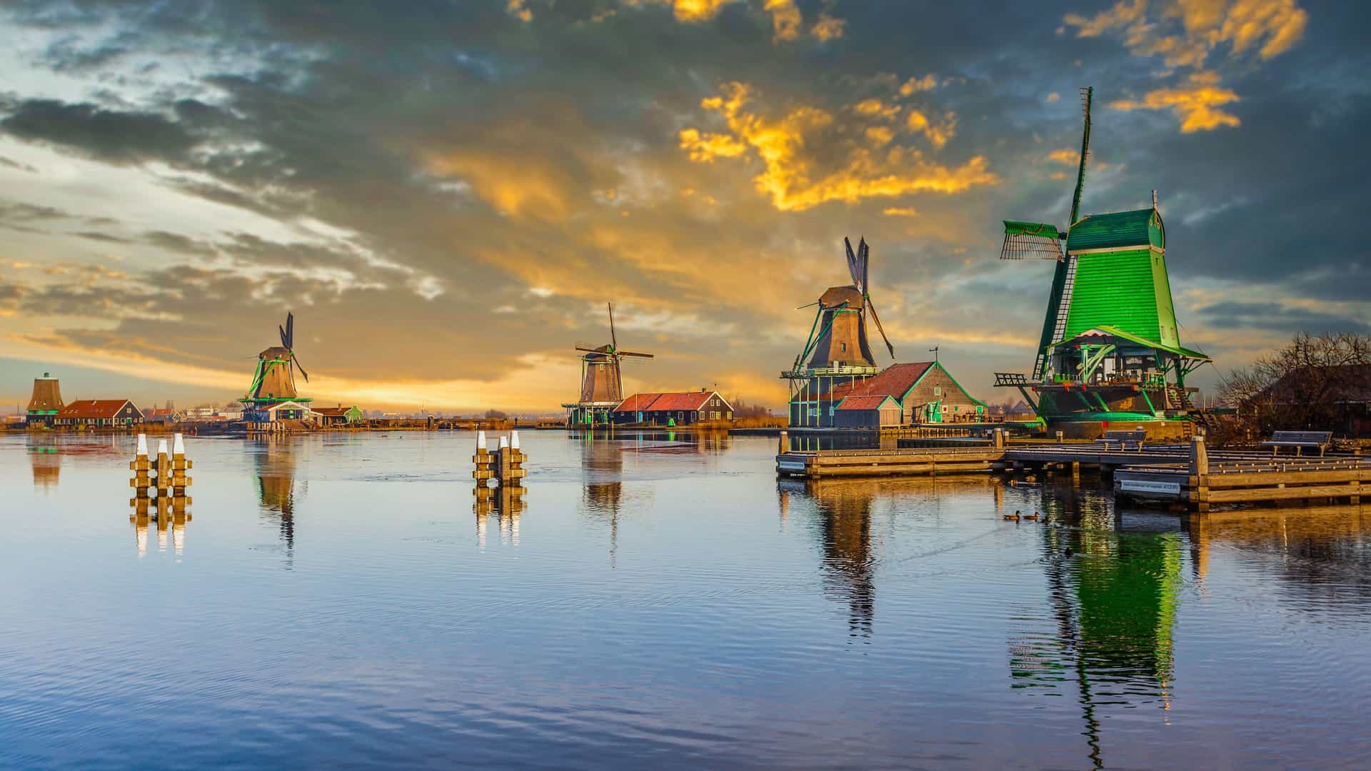 A beautiful sunset over Zaandam, the Netherlands, with a large brown windmill standing behind rows of vibrant red and yellow tulips. The sun sets on the horizon under a stunning red, purple, and orange sky with wispy clouds.