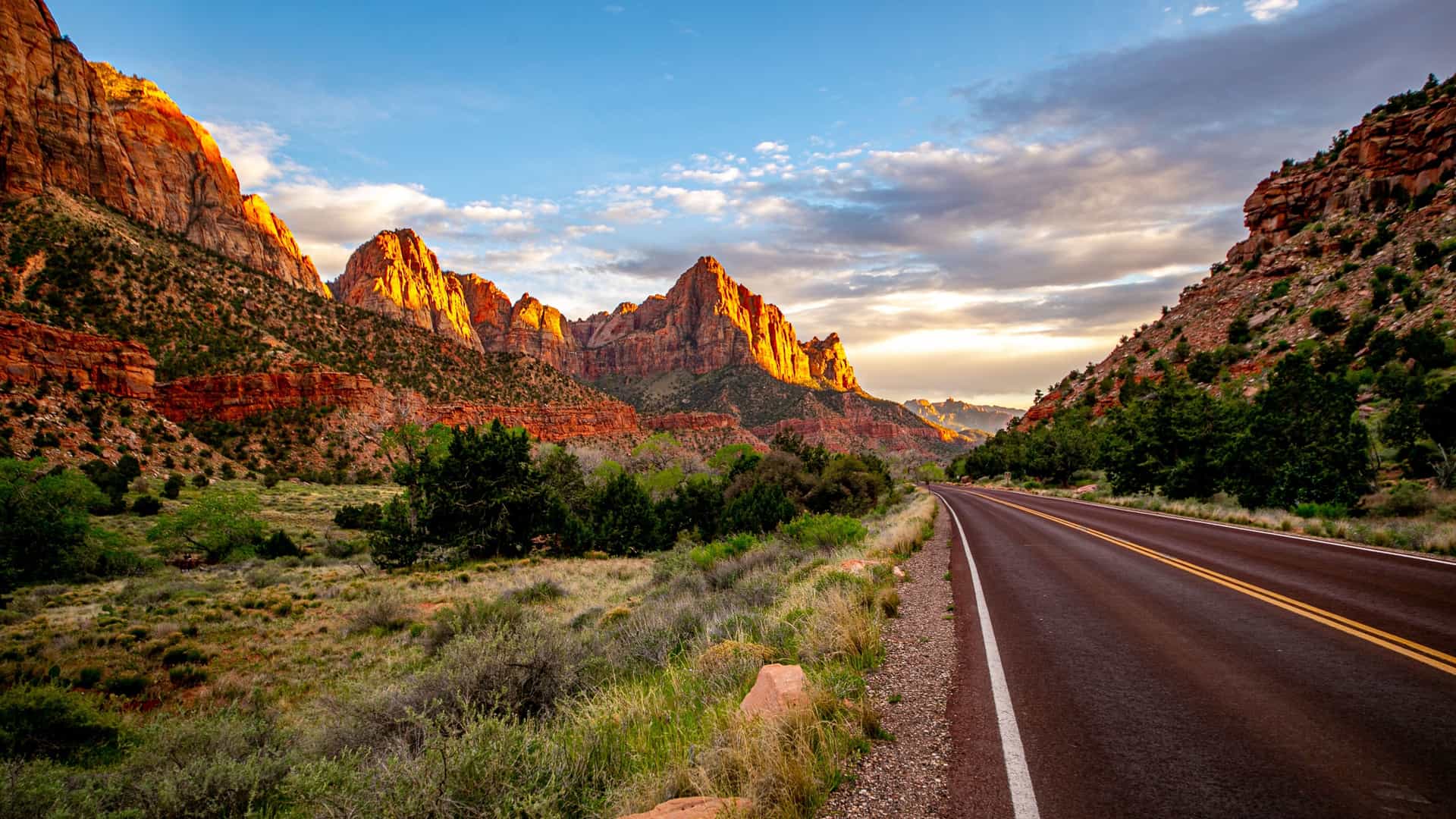 "A long, empty road winds through a scenic landscape of towering red rock mountains and green vegetation in Zion National Park, Utah, illuminated by the golden light of the setting sun."