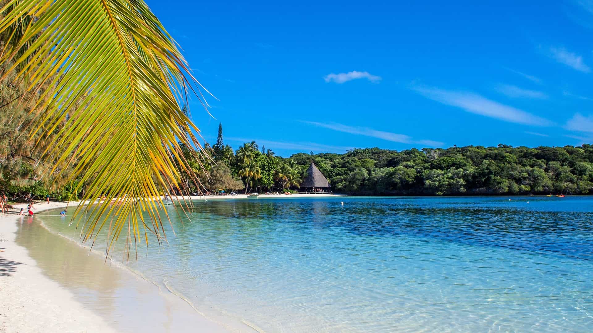 A stunning tropical beach with white sand and clear turquoise water in New Caledonia, a popular destination on a Royal Caribbean South Pacific cruise.