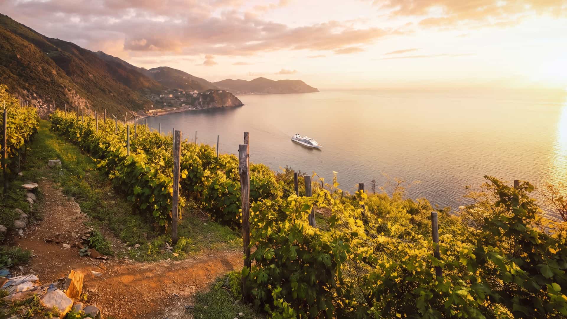 Sunset over a terraced vineyard on a coastal hillside, with a white cruise ship in a calm bay below and headlands fading into the distance