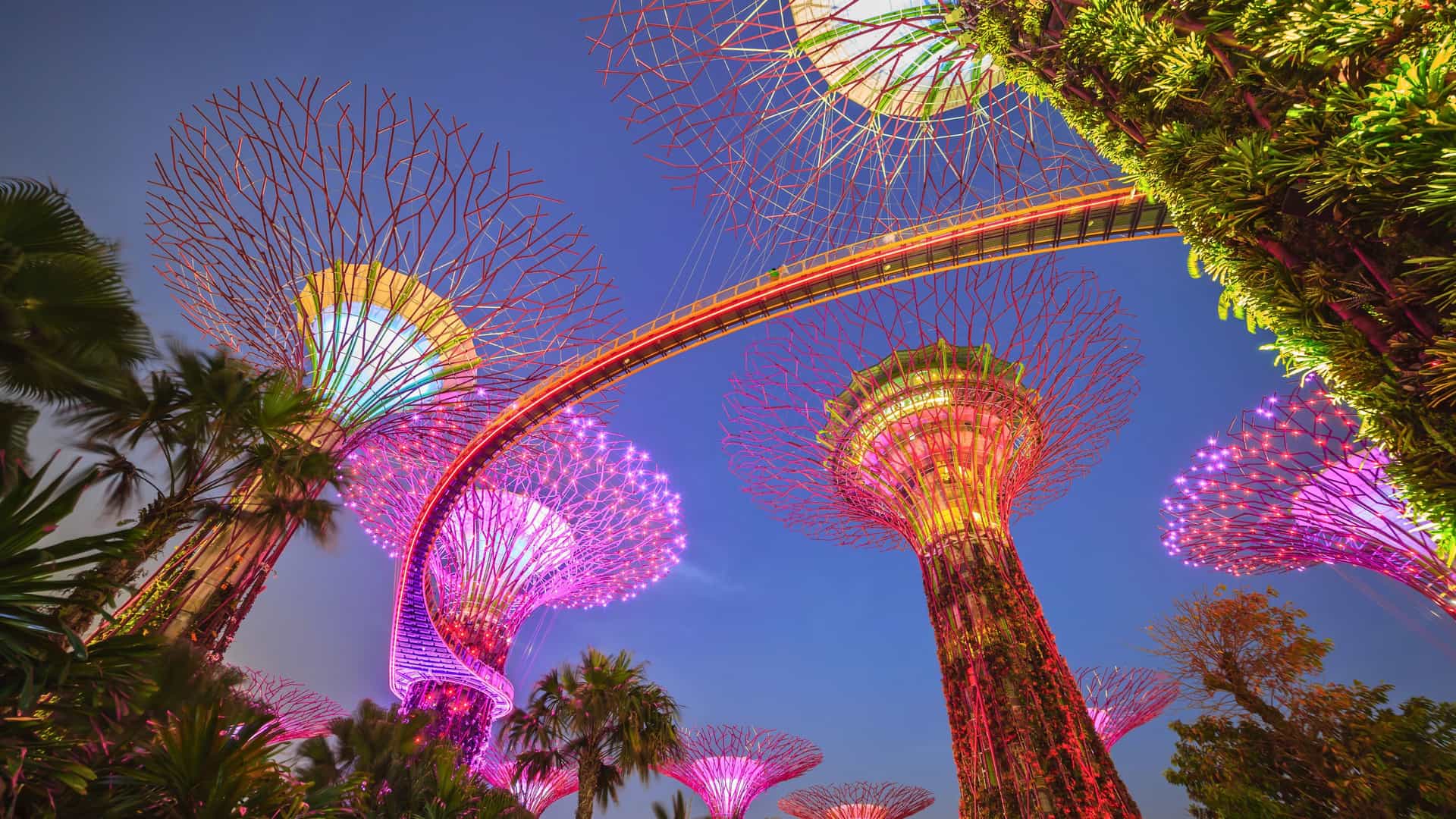 The vibrant, illuminated Supertree Grove at Gardens by the Bay in Singapore, Asia, offering a memorable shore excursion on a luxury Seabourn cruise.
