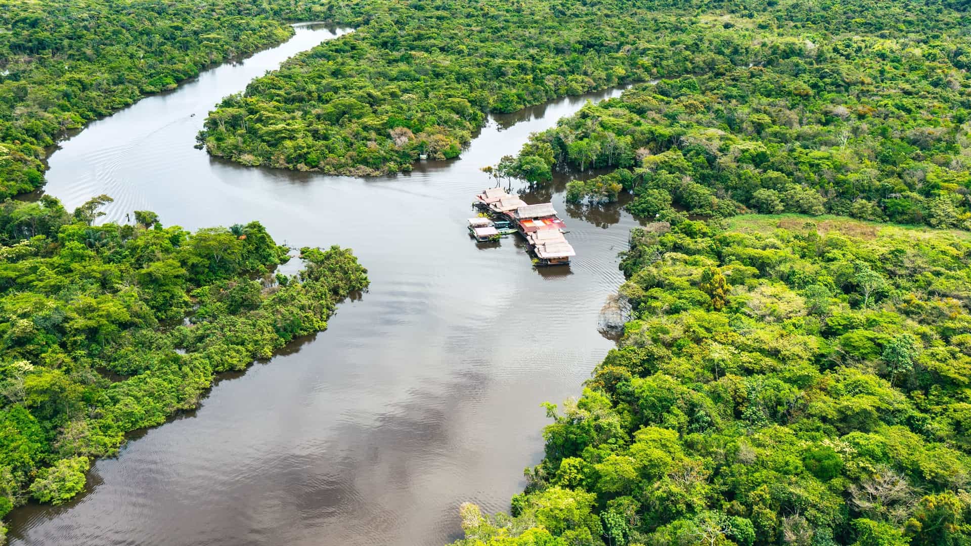 Aerial view of a winding river flowing through the lush Amazon rainforest in Brazil, showcasing South America's natural beauty.