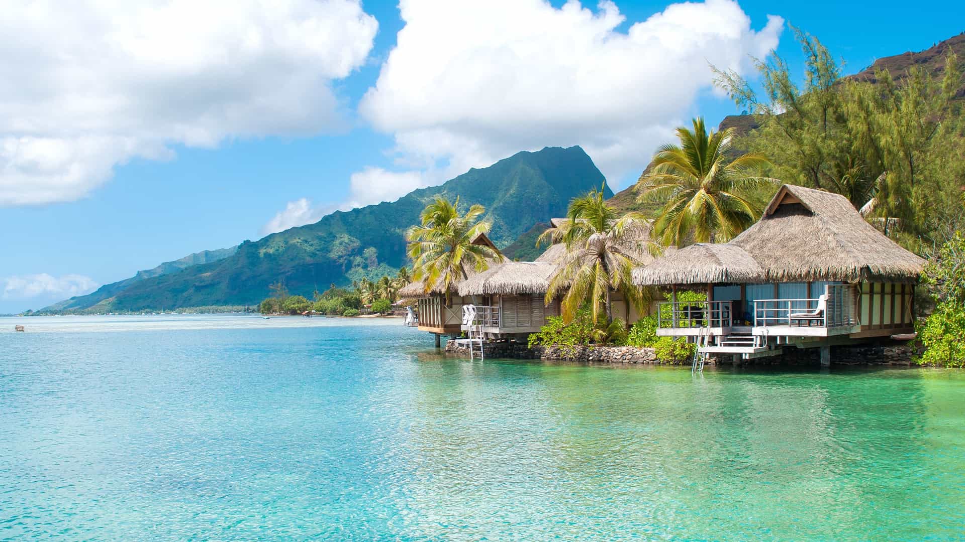 A picturesque South Pacific island with palm trees and huts, ideal for a relaxing cruise getaway.