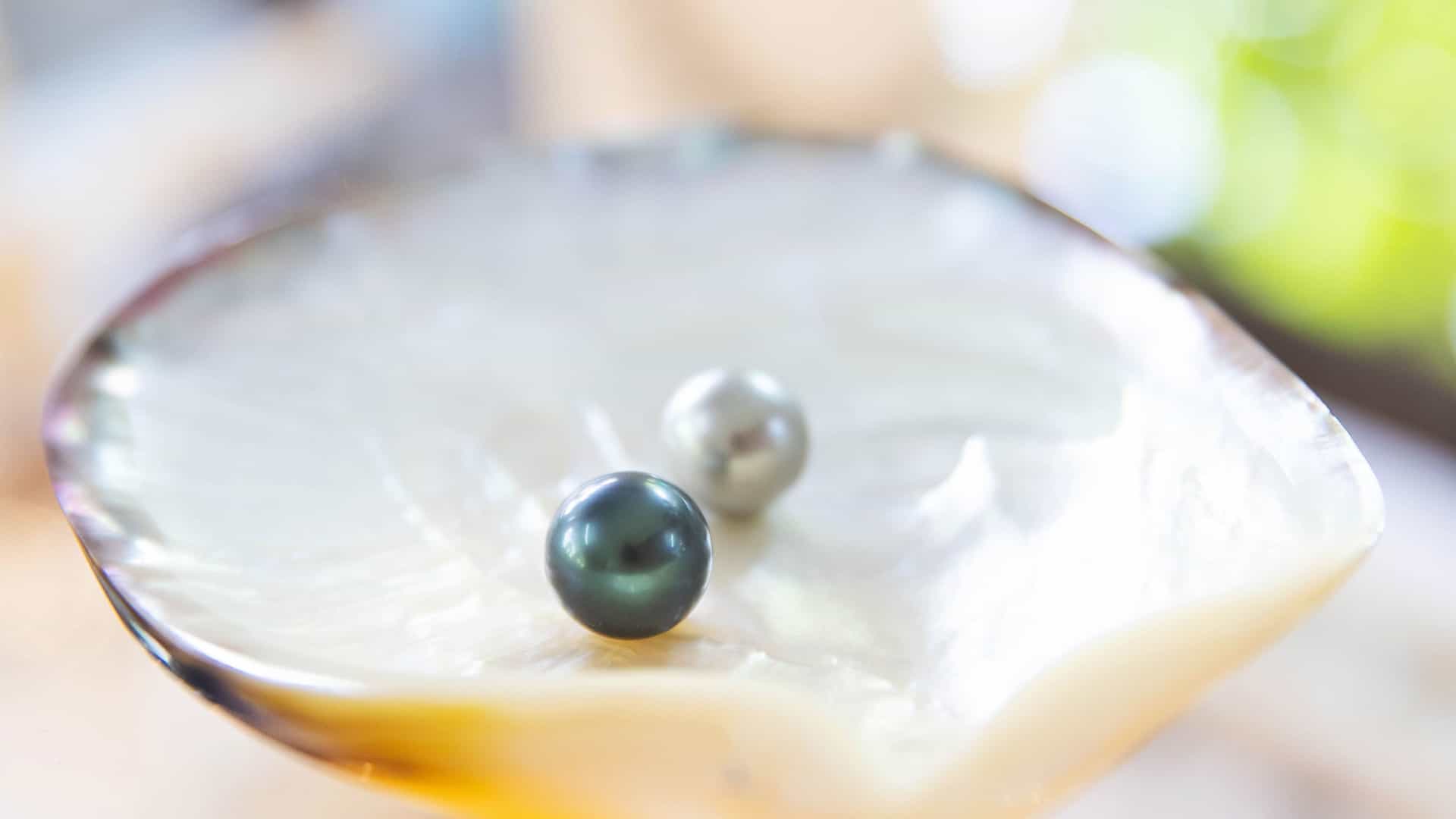 A close-up photograph of a polished black pearl and a smaller, gray pearl resting inside a mother-of-pearl oyster shell. The shell has a smooth, iridescent surface with a creamy-white and golden sheen. The pearls are perfectly round and sit on the shell's lustrous interior. The background is a soft, blurry mix of light and green, creating a peaceful and elegant atmosphere. The image highlights the unique and valuable black pearls cultivated in the lagoons of Tahiti and the South Pacific.