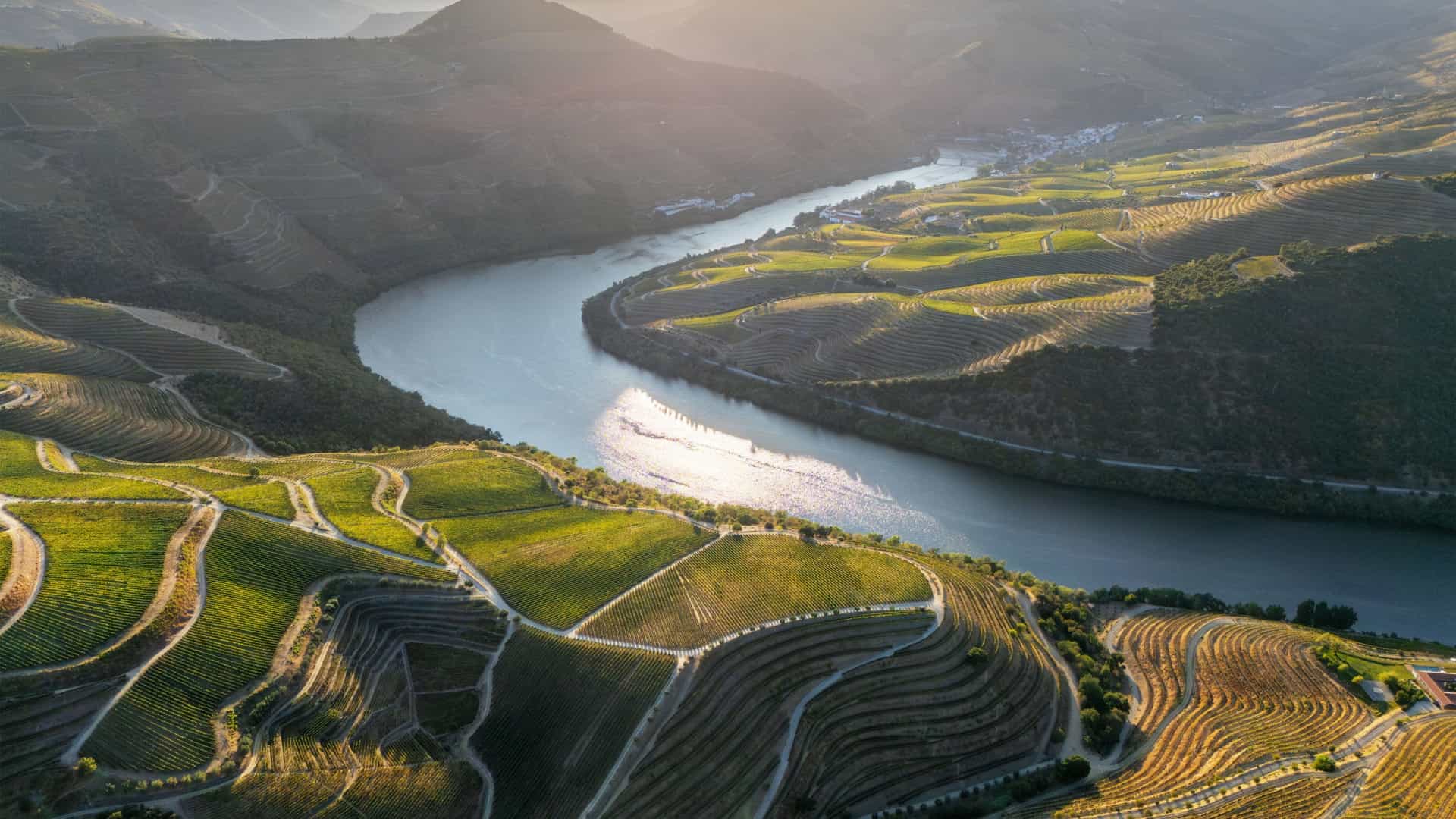 Aerial view of the winding Douro River flowing through sunlit terraced vineyards in Portugal on a Tauck river cruise.