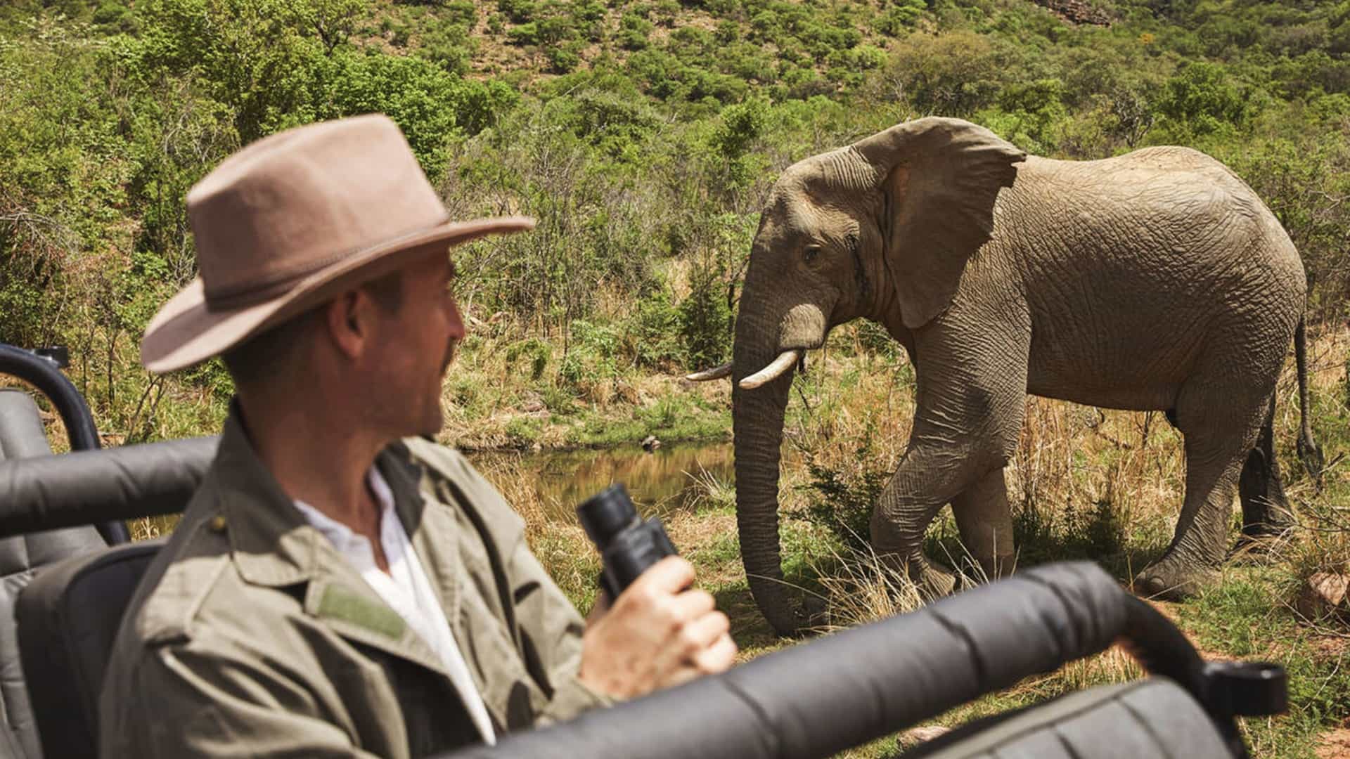 A traveler in a safari hat holding binoculars watches an African elephant at close range from an open game drive vehicle.