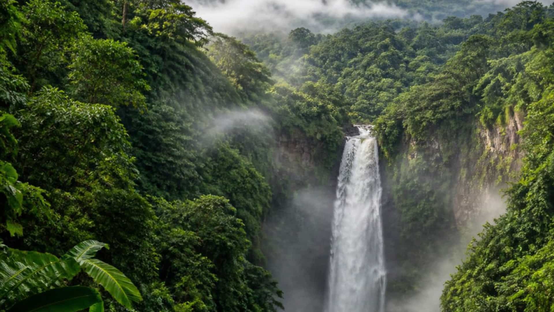 A towering waterfall cascades through dense tropical rainforest beneath the volcanic peak of La Soufriere on Basse-Terre, Guadeloupe.