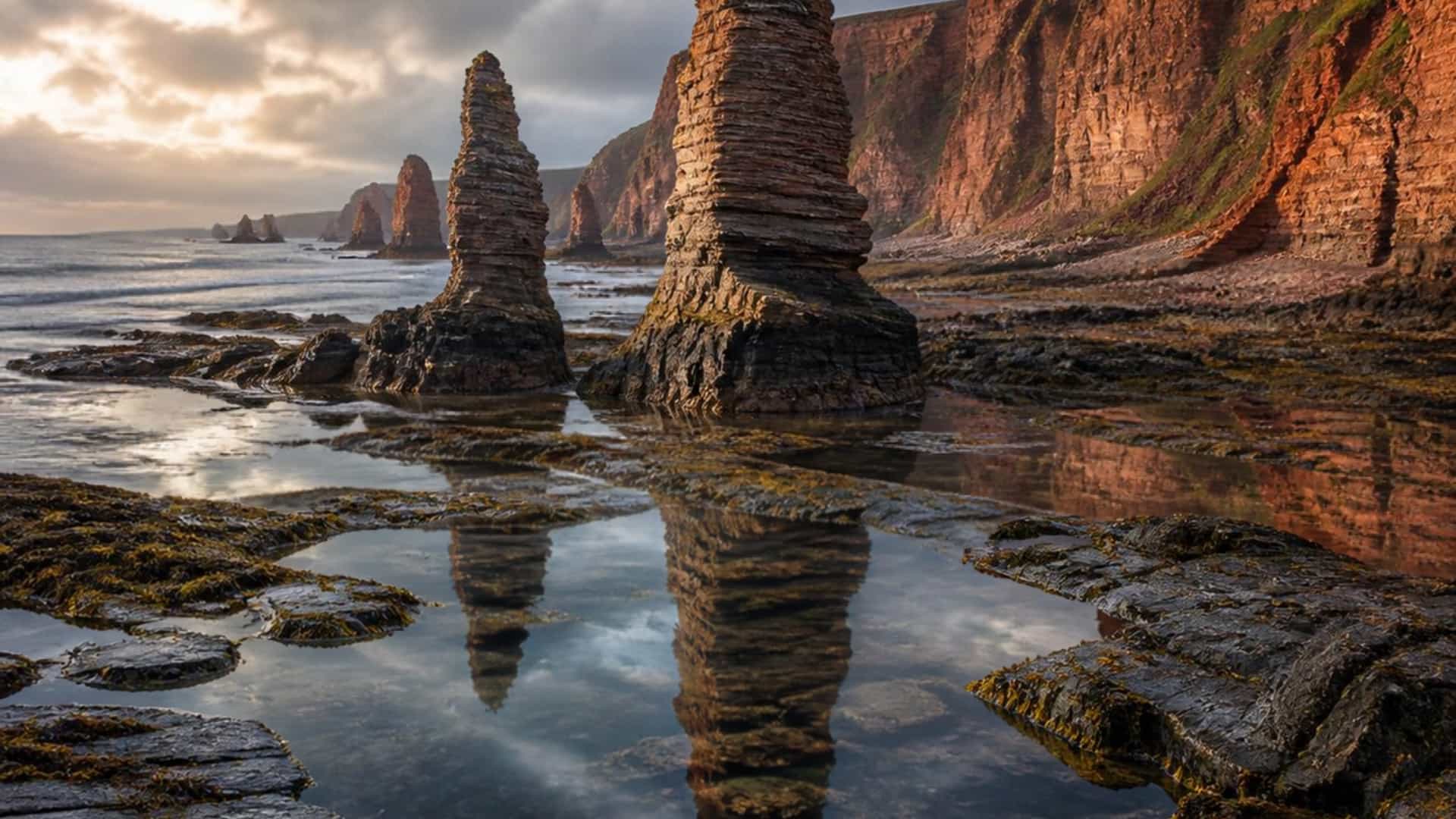 The dramatic Bay of Fundy coastline at low tide in New Brunswick, Canada, with towering Hopewell Rocks sea stacks and red cliffs.