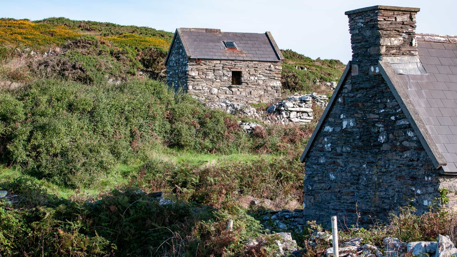 A charming, close-up view of historic stone cottages nestled among the rolling green hills of Cape Clear Island in West Cork, Ireland—a popular cultural and heritage shore excursion destination. The image showcases the traditional masonry craftsmanship of two rustic, slate-roofed stone structures surrounded by wild green brambles, ferns, and remnants of old stone walls under a clear sky.