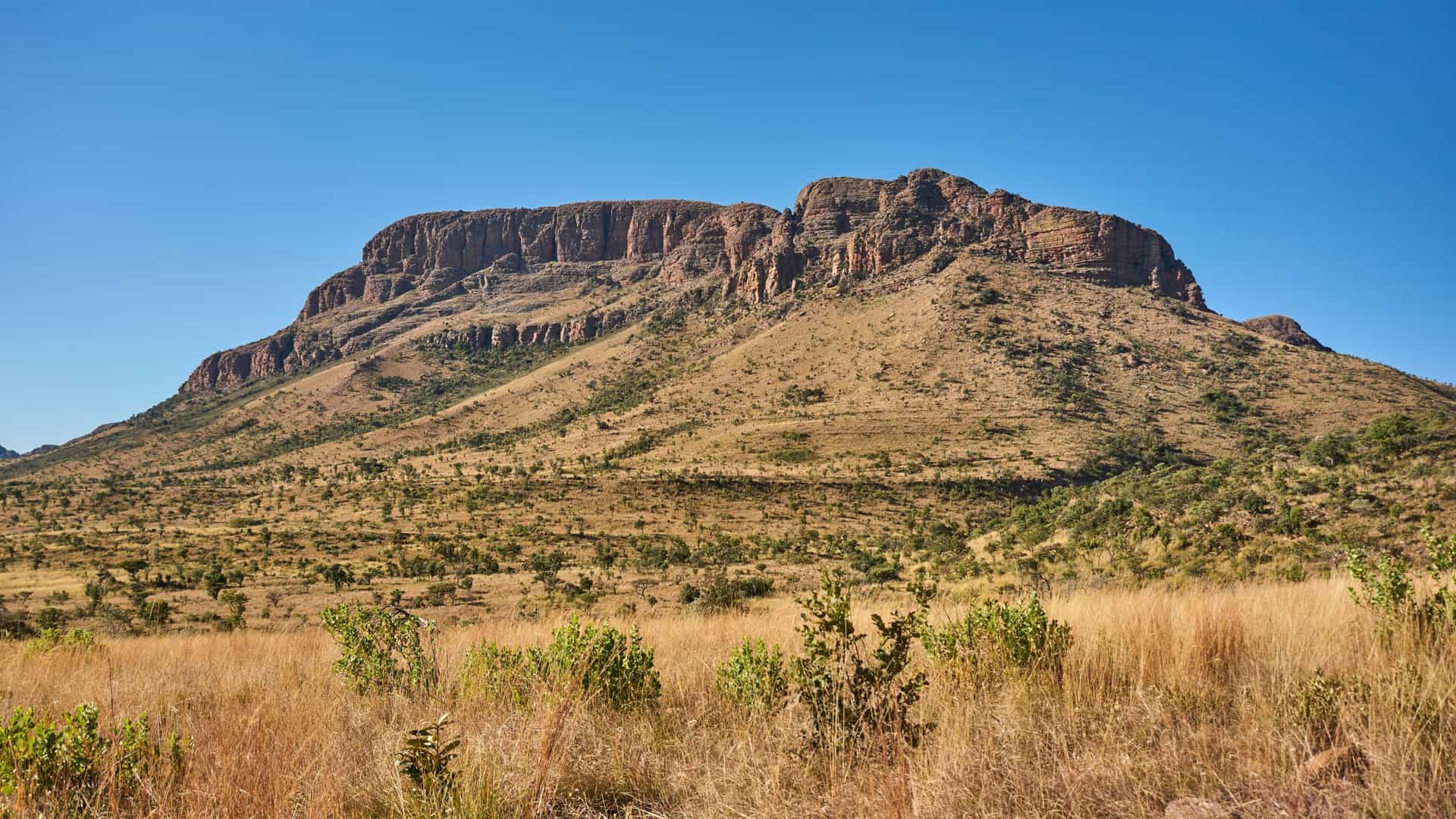 A spectacular wide landscape view of a massive, flat-topped red rock mountain imposing over the sweeping savannas of Marakele National Park in the Limpopo Province, South Africa—a premier wildlife safari and wilderness shore excursion destination.