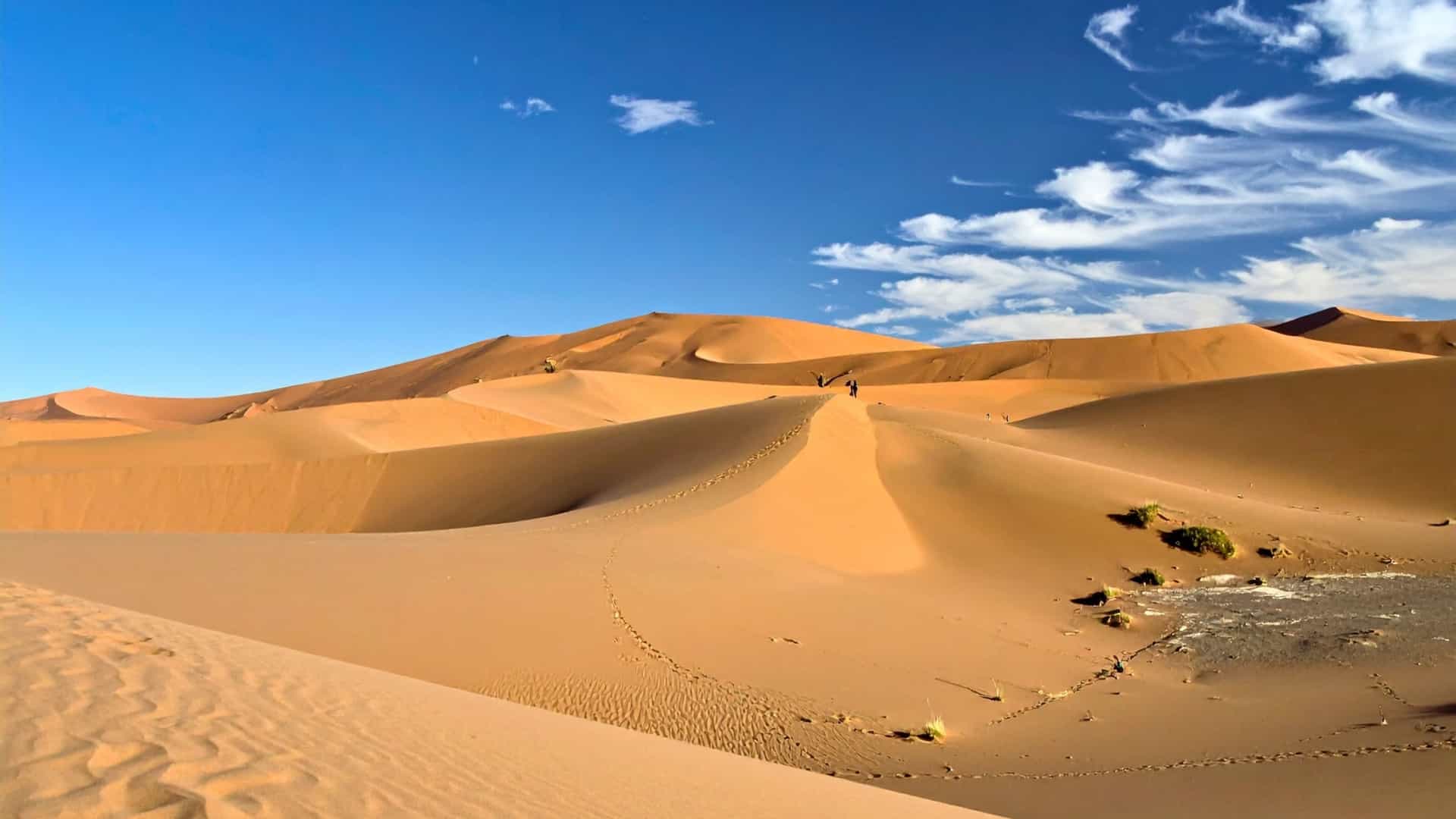 Sweeping Namib Desert dunes with smooth golden sand ridges, footprints leading toward the horizon, and two distant figures walking under a clear blue sky.