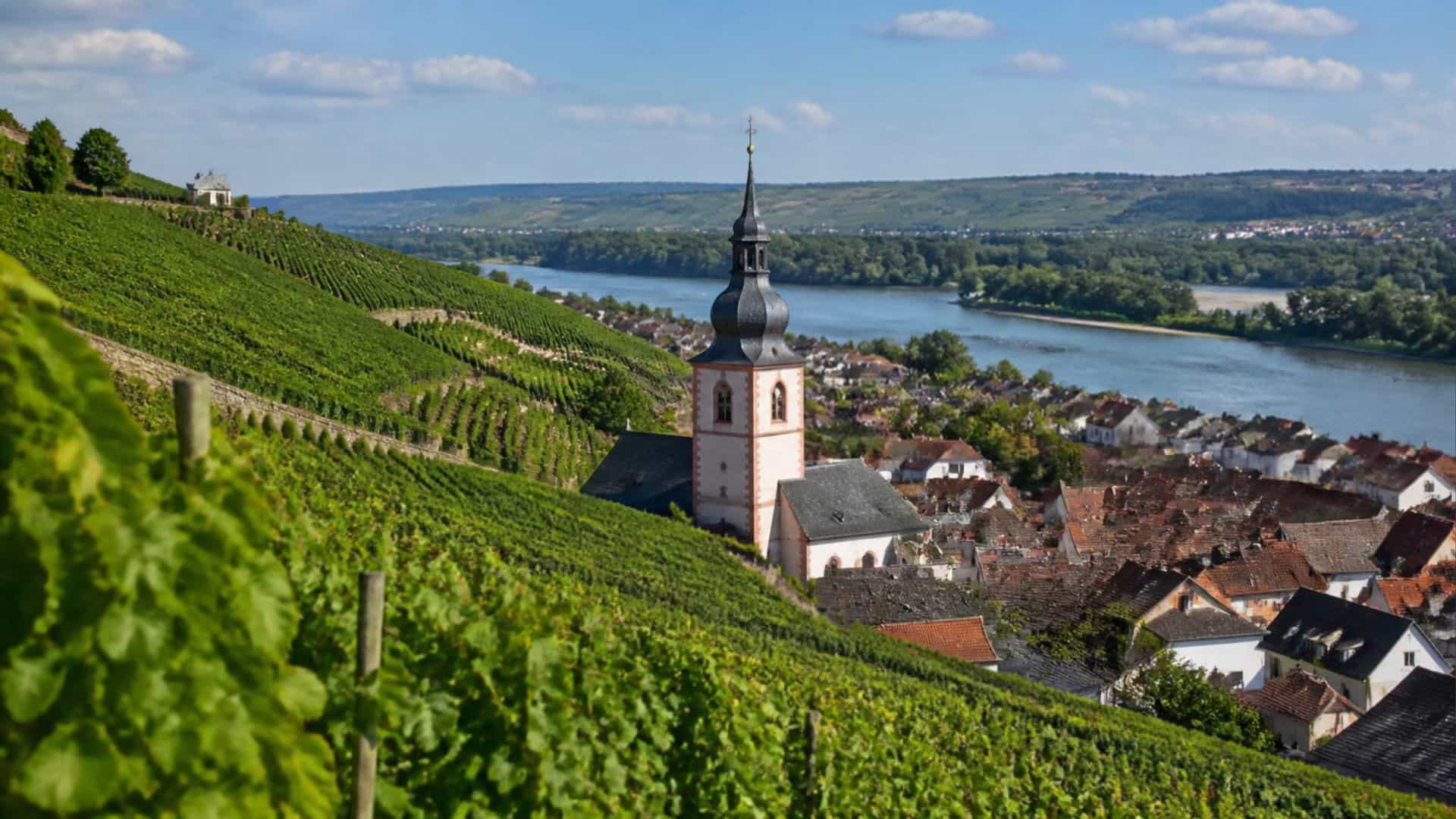 Rhine valley vineyards roll across hills above the wine village of Nierstein, Germany, with a church tower among the vines.