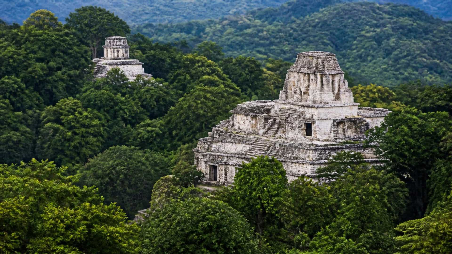 Ancient Mayan stone temples of Palenque rise above the dense Chiapas jungle canopy, Mexico.