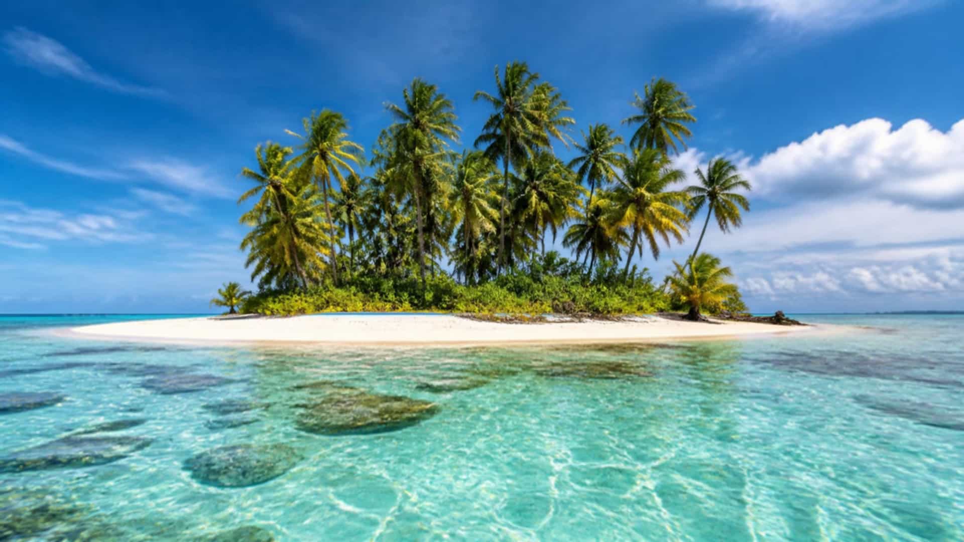 The small tropical island of Pulau Papan off Labuan, Malaysia, with palm trees and turquoise shallows.