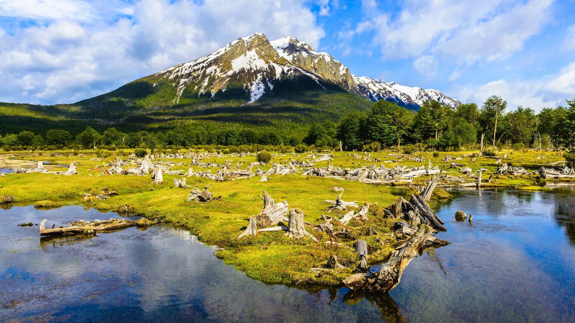Tierra del Fuego National Park landscape near Ushuaia, Argentina.