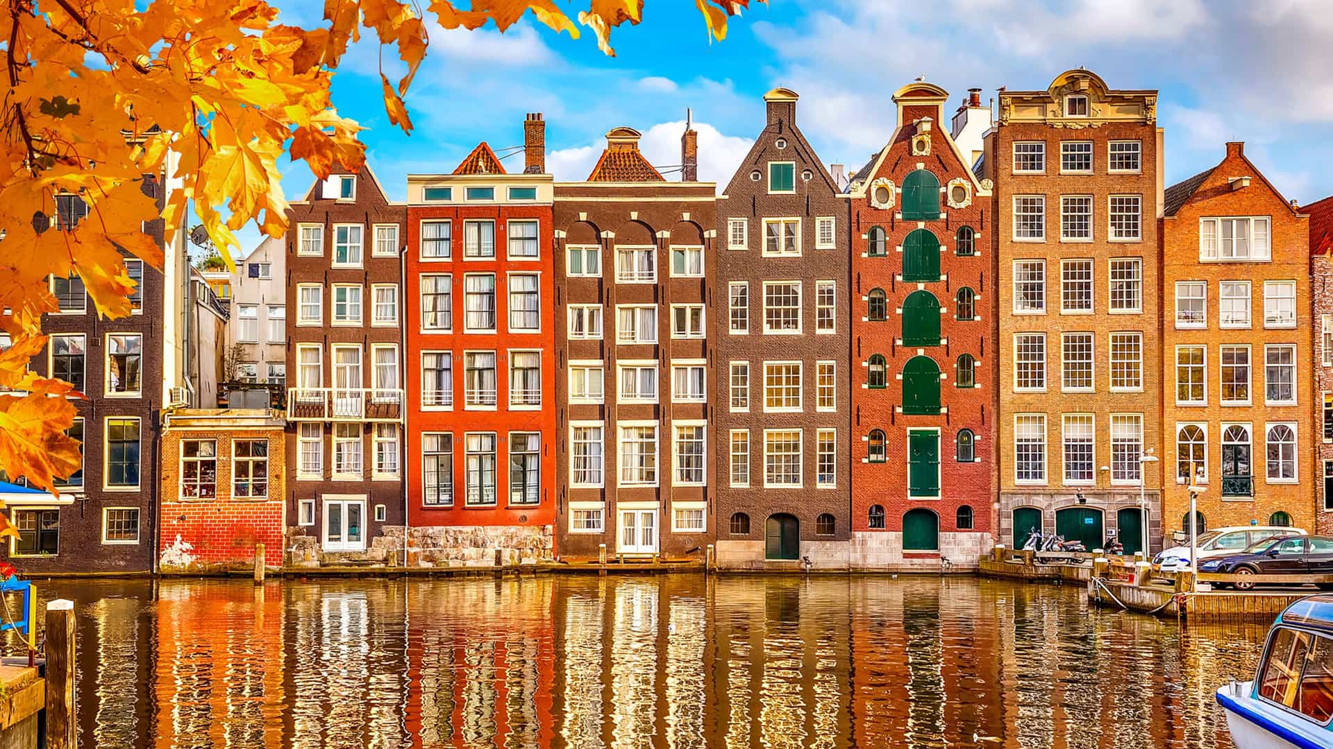 A row of narrow, colorful traditional Dutch gabled canal houses reflecting on the water, framed by golden autumn leaves.
