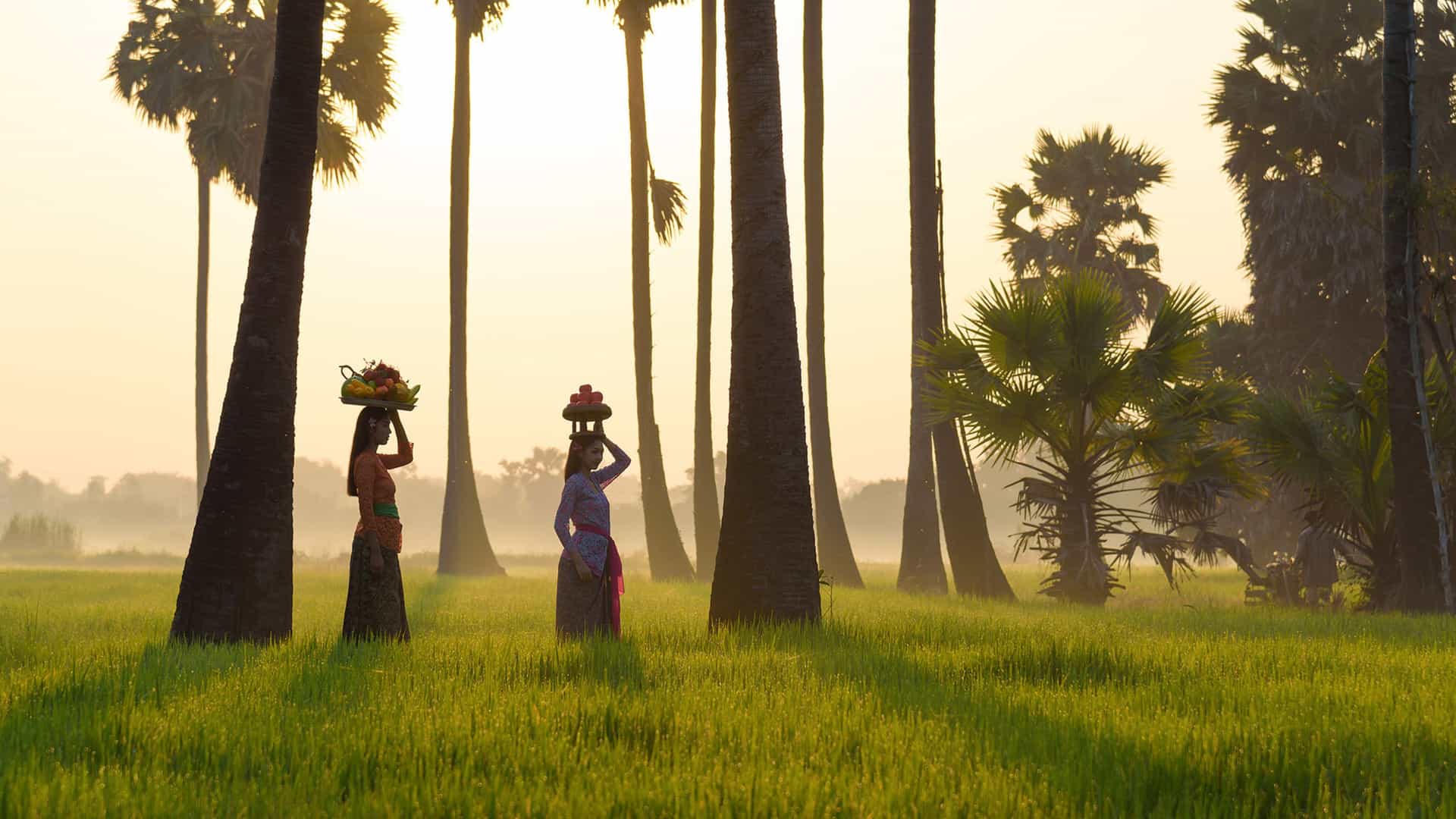 Two Balinese women in traditional dress carrying offerings on their heads while walking through a rice paddy at sunrise in Bali, Indonesia, a cultural highlight of a Viking Ocean cruise to Southeast Asia.