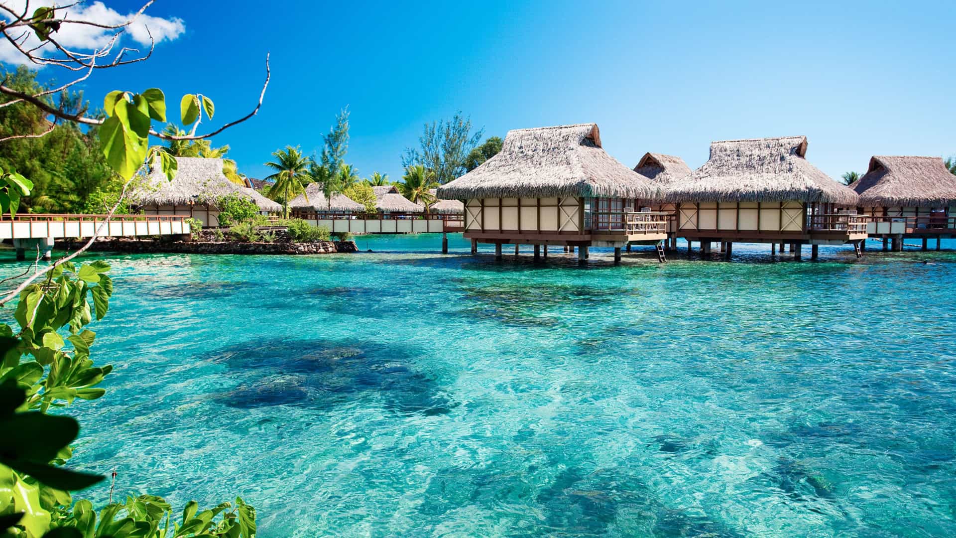 A scenic view of overwater bungalows with thatched roofs in the crystal-clear turquoise waters of Tahiti, a stunning destination on a Viking Ocean cruise to the South Pacific.
