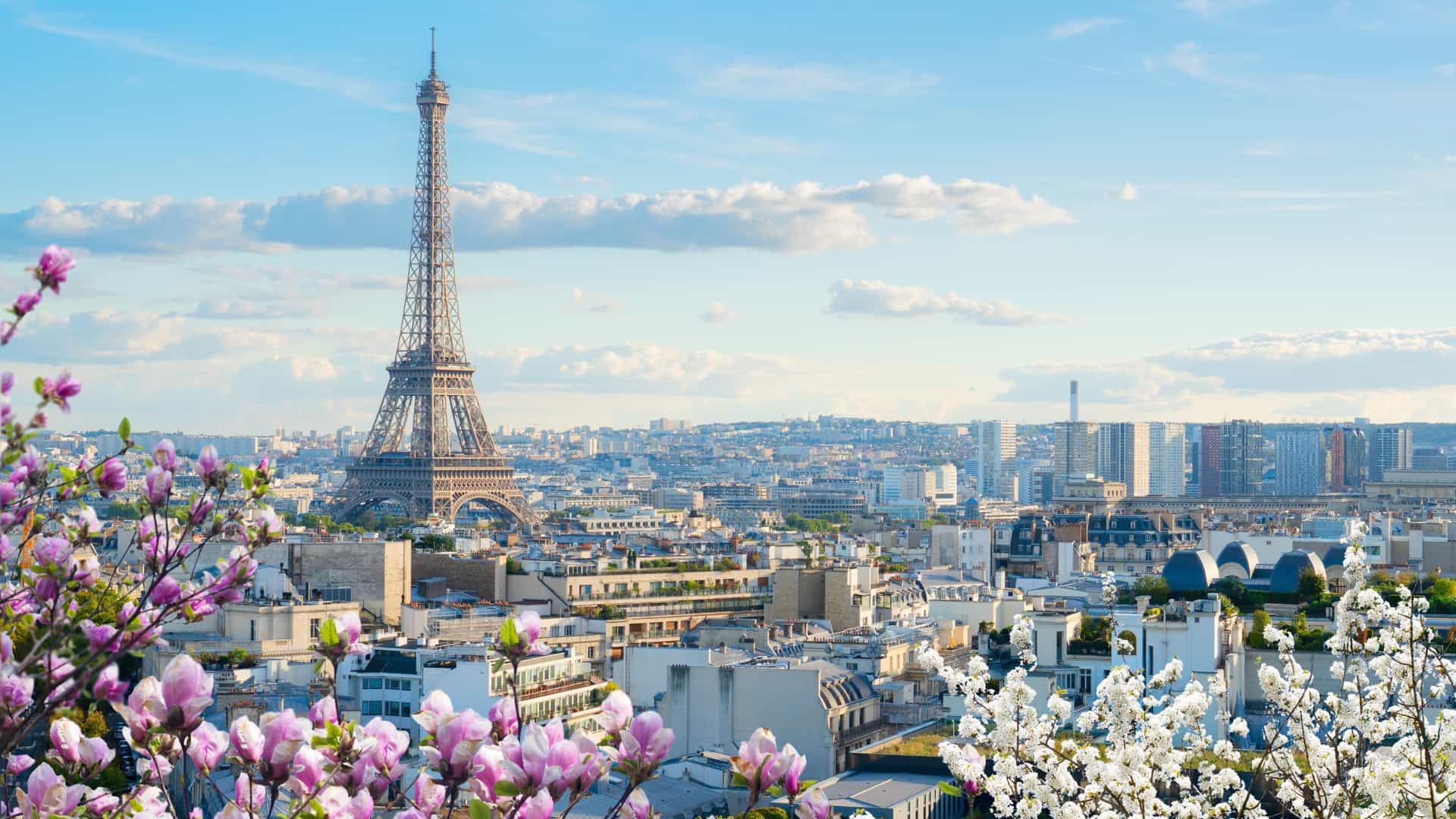 Scenic view of the Eiffel Tower and Paris rooftops with blooming flowers, showcasing the charm of Viking River Cruises' stop in France.