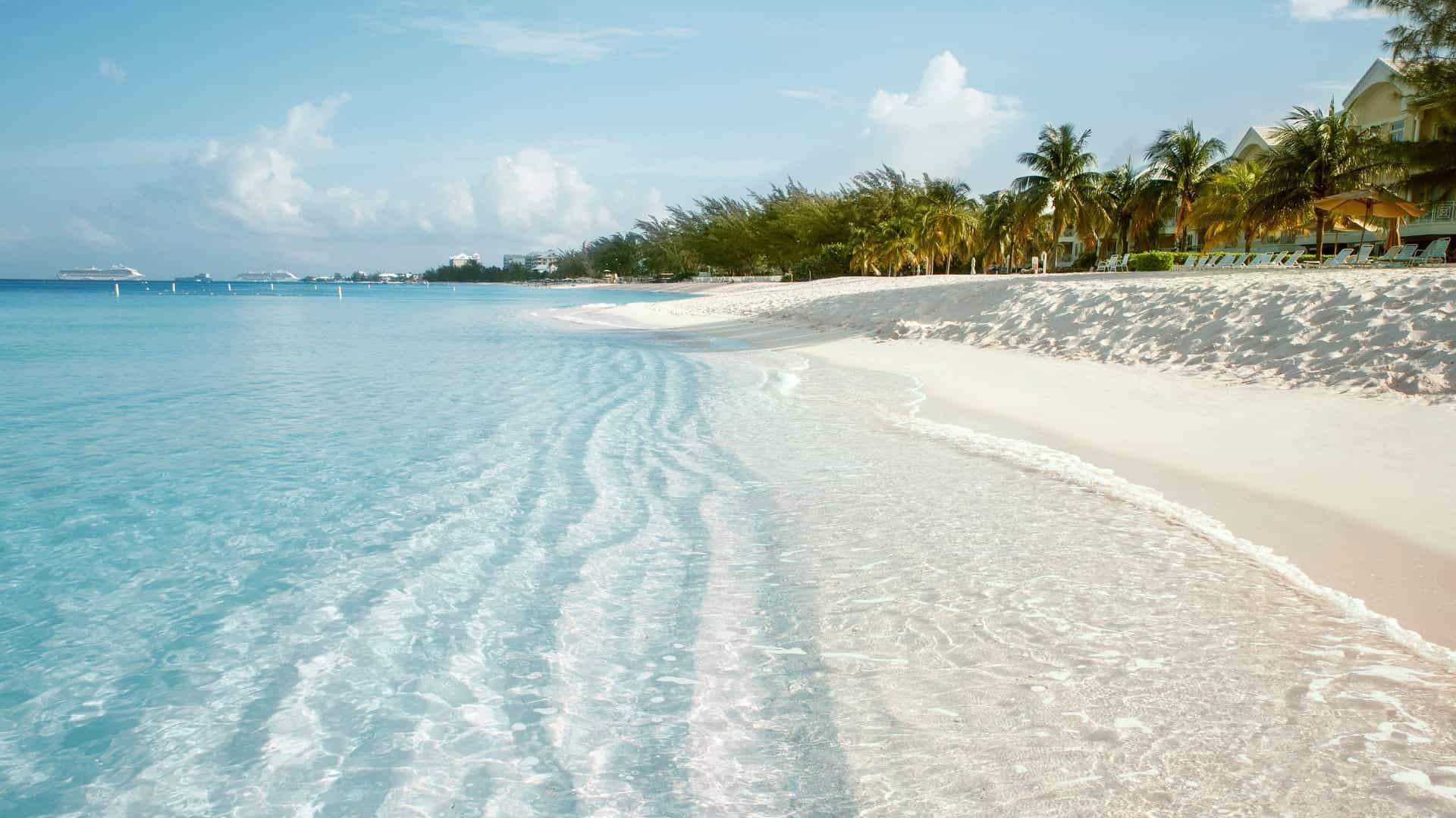 A beautiful view of Seven Mile Beach in Grand Cayman. The calm, turquoise water gently laps onto the pristine white-sand shore. On the right, a line of palm trees and other tropical foliage separates the beach from a resort with sun loungers. In the distance, several cruise ships are anchored in the deep blue ocean under a partly cloudy sky. The image captures the ideal tropical destination of the Western Caribbean.