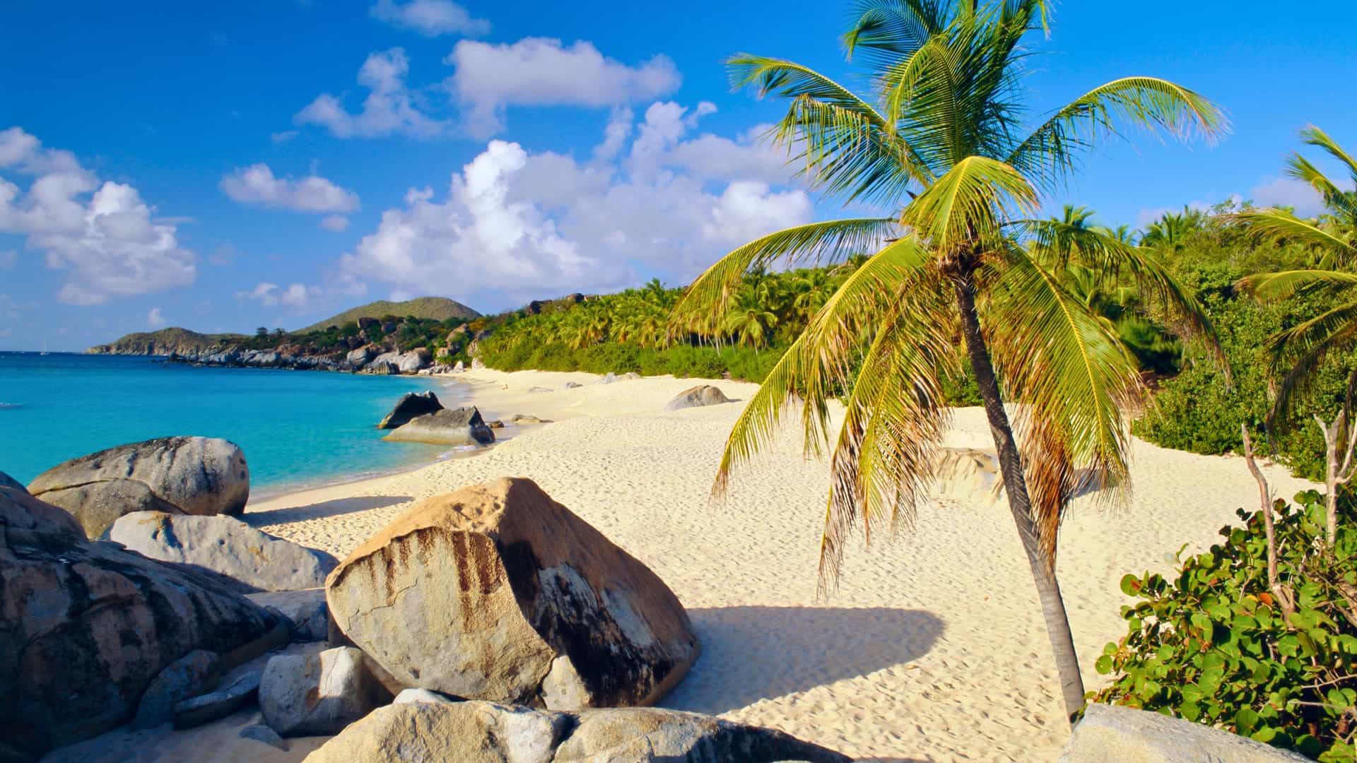 White sand beach with boulders and palm trees in Virgin Gorda, a beautiful Caribbean destination for a Windstar cruise.