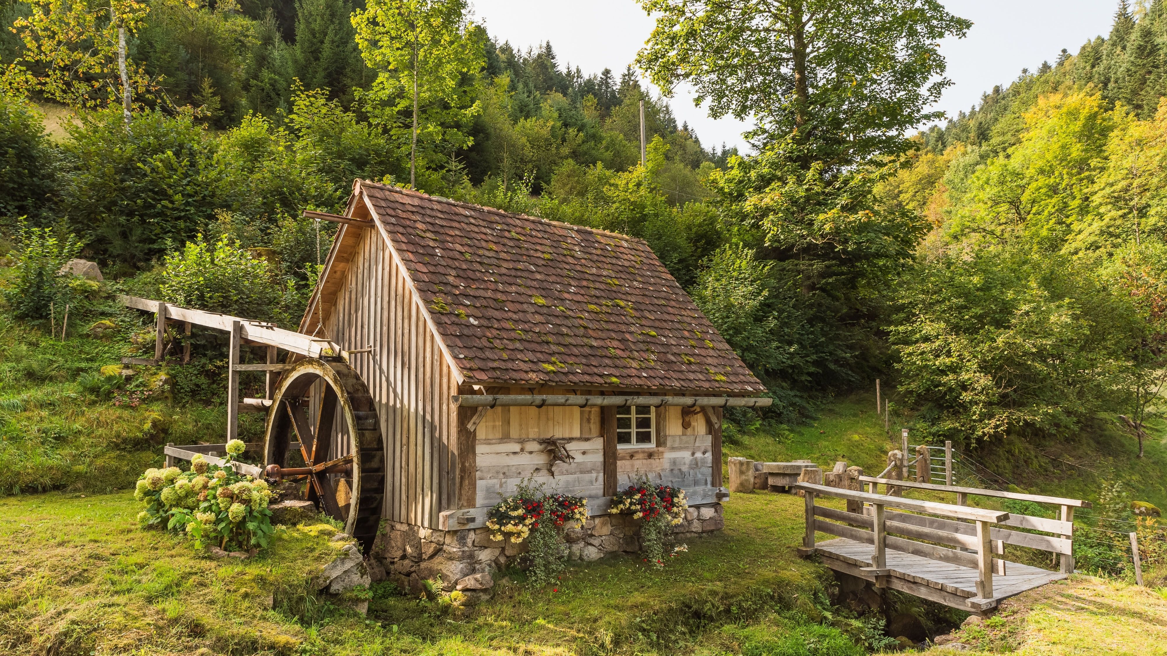 Black Forest, Germany Cruise Port & Excursions - 2026-27 | The